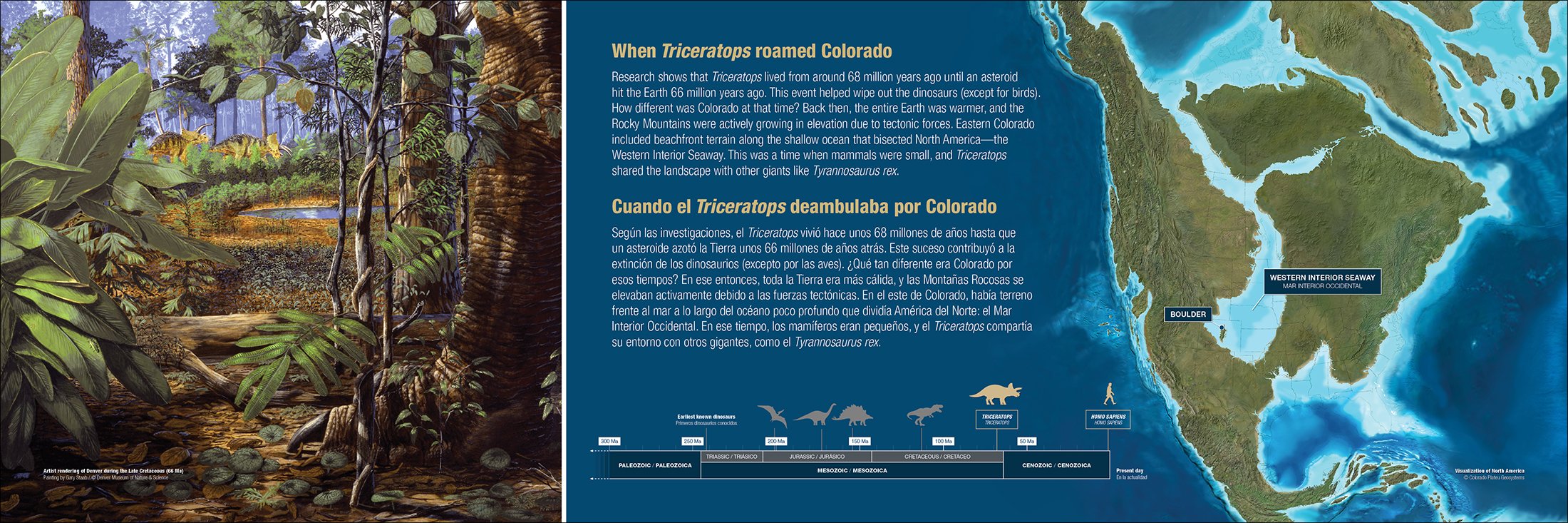   Exhibit Sloper  University of Colorado Natural History Museum Adobe InDesign 