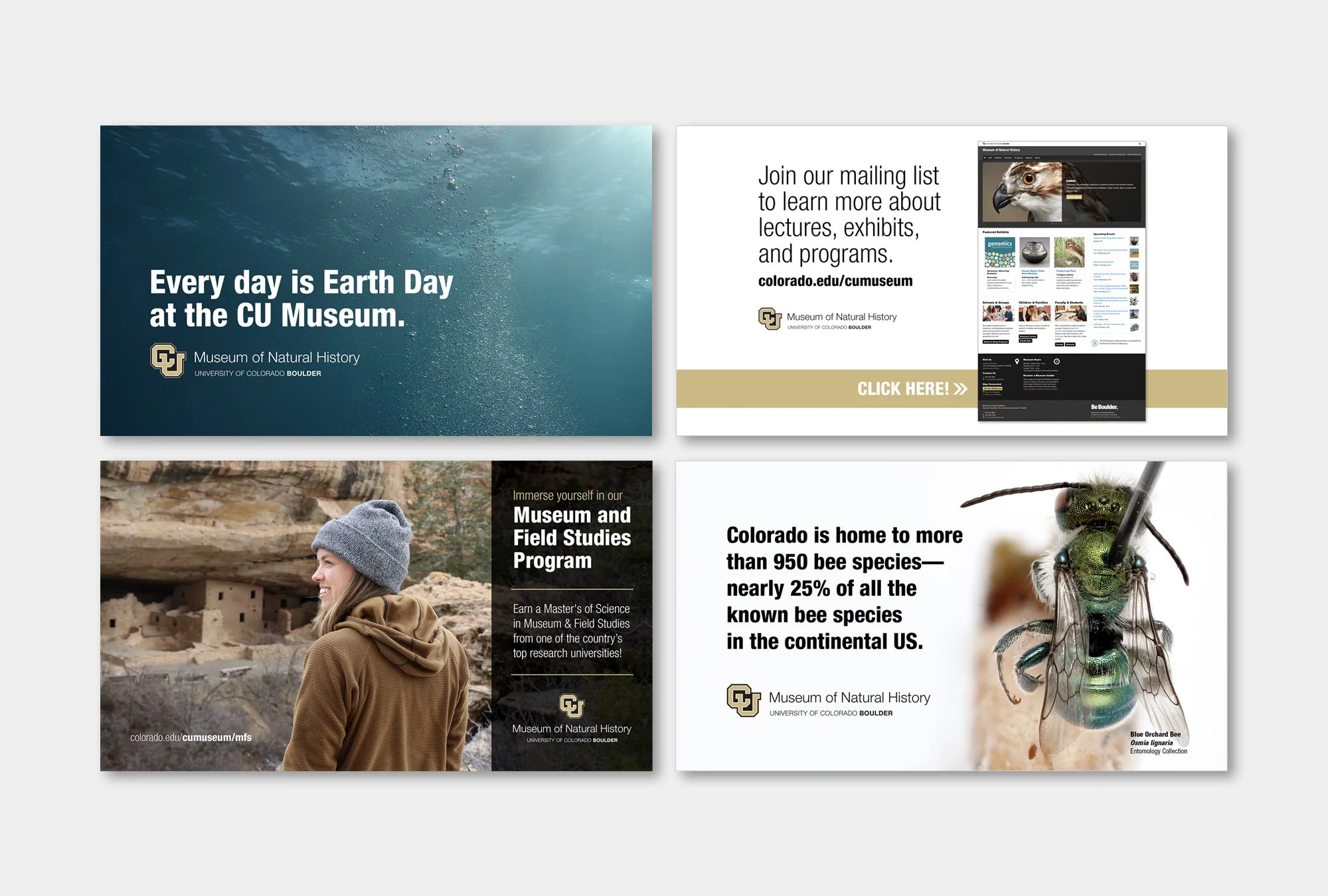 Marketing materials (CU Museum of Natural History) Powerpoint slides designed in keeping with the CU brand identity to promote the Museum at various lectures and events across campus. (1920×1080px) Project role: Designed within CU brand identity,