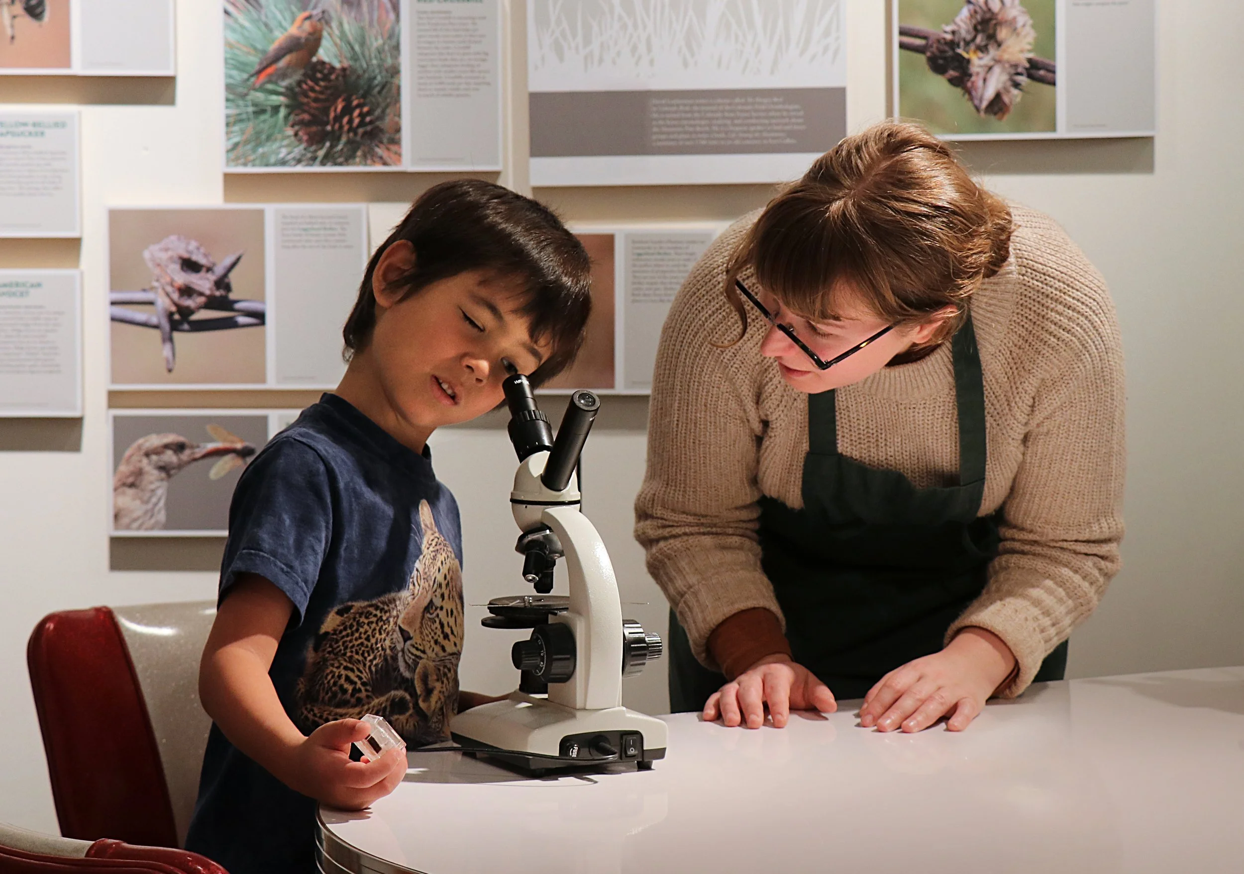 Marketing photo (CU Museum of Natural History Family Programs)