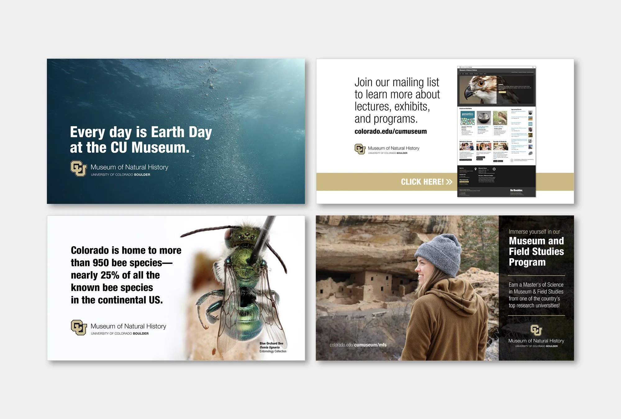   Marketing materials (CU Museum of Natural History)  Powerpoint slides designed in keeping with the CU brand identity to promote the Museum at various lectures and events across campus. (1920×1080px)  Project role: Designed within CU brand identity,