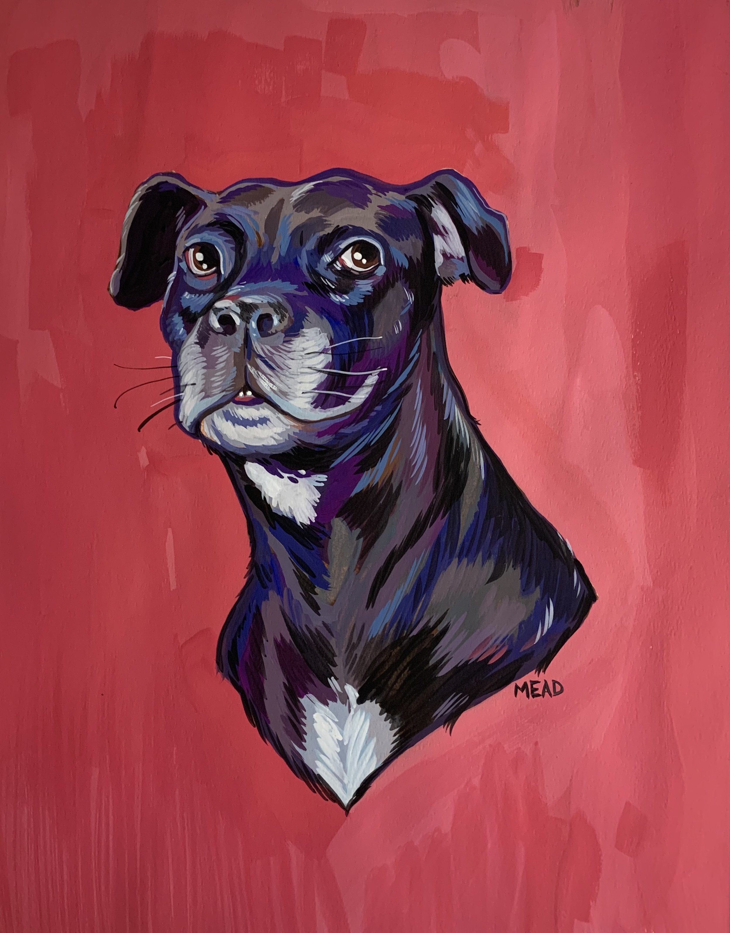 Pinky Portrait.jpeg