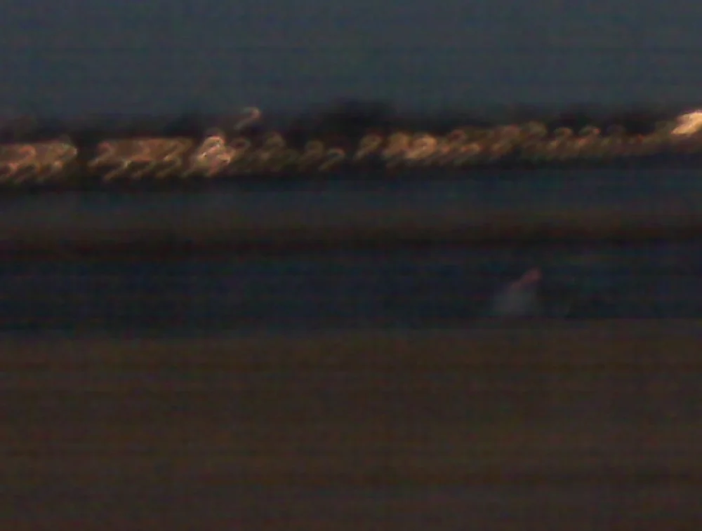 Arkansas/Tennessee Border