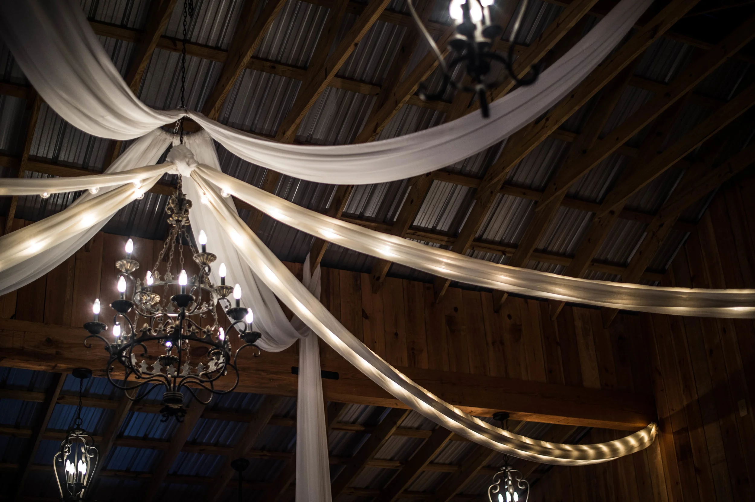 Reception (250).jpg