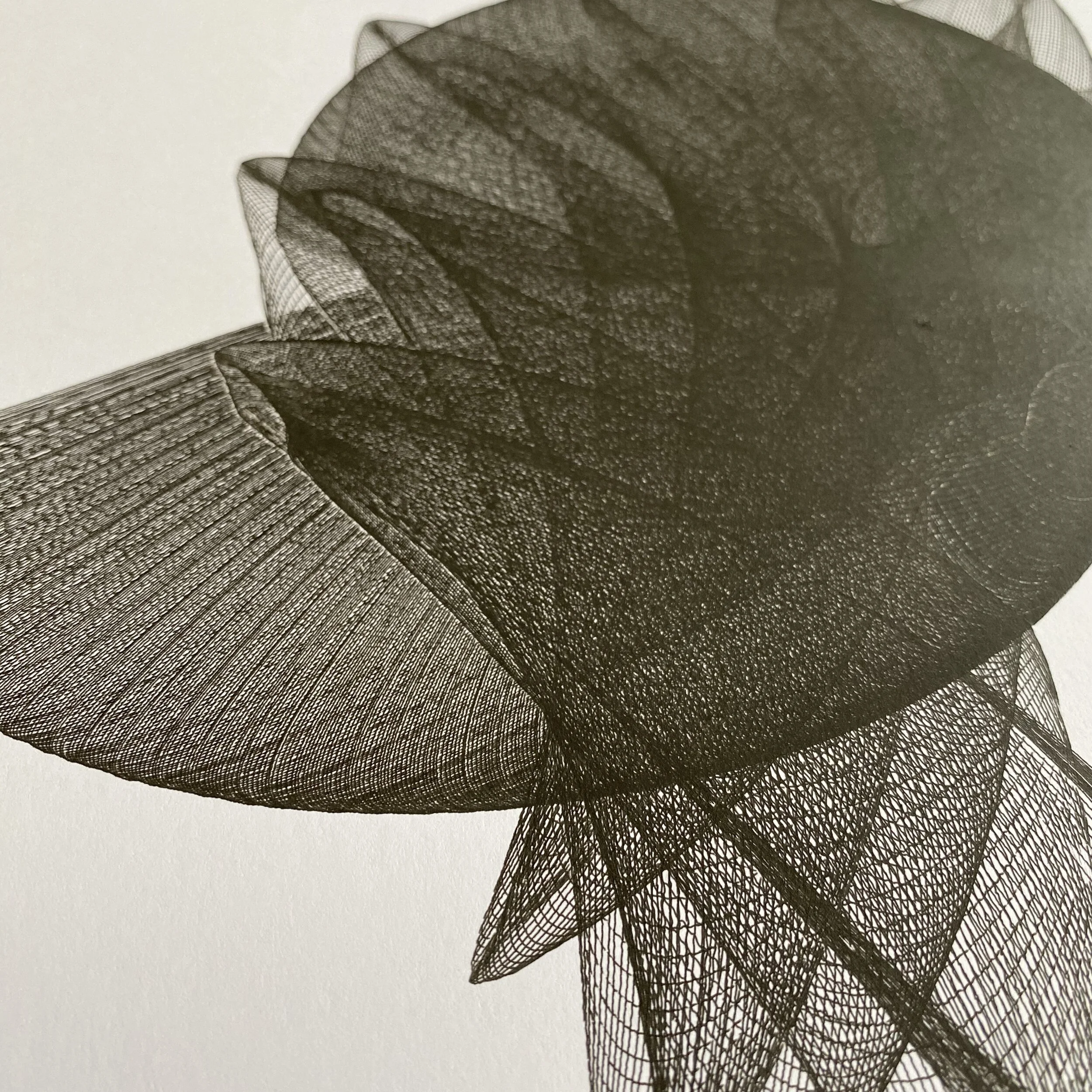 94FAB880-20A9-448B-8A1E-2A8C91D8E901