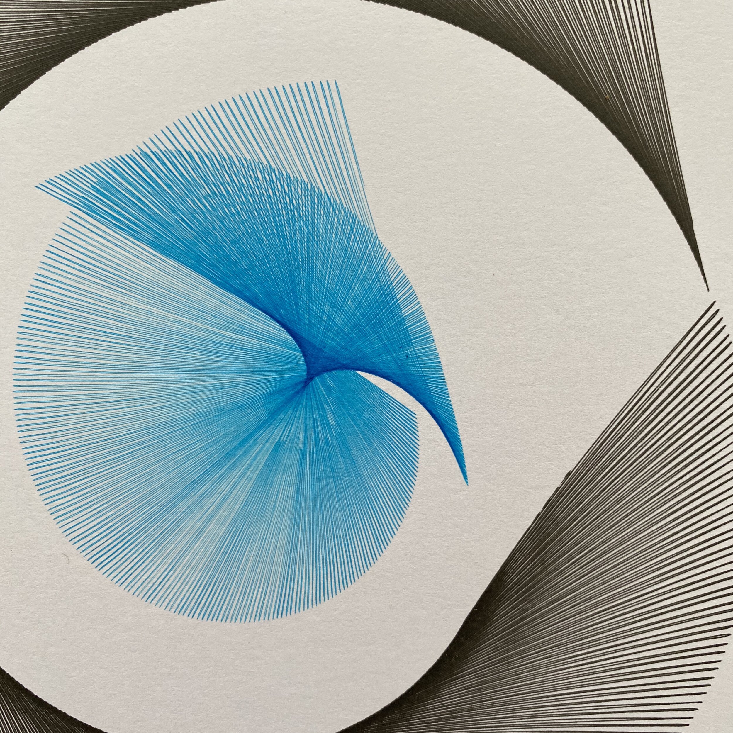 800A1774-83F3-4BBB-A80D-5C74C21B379A