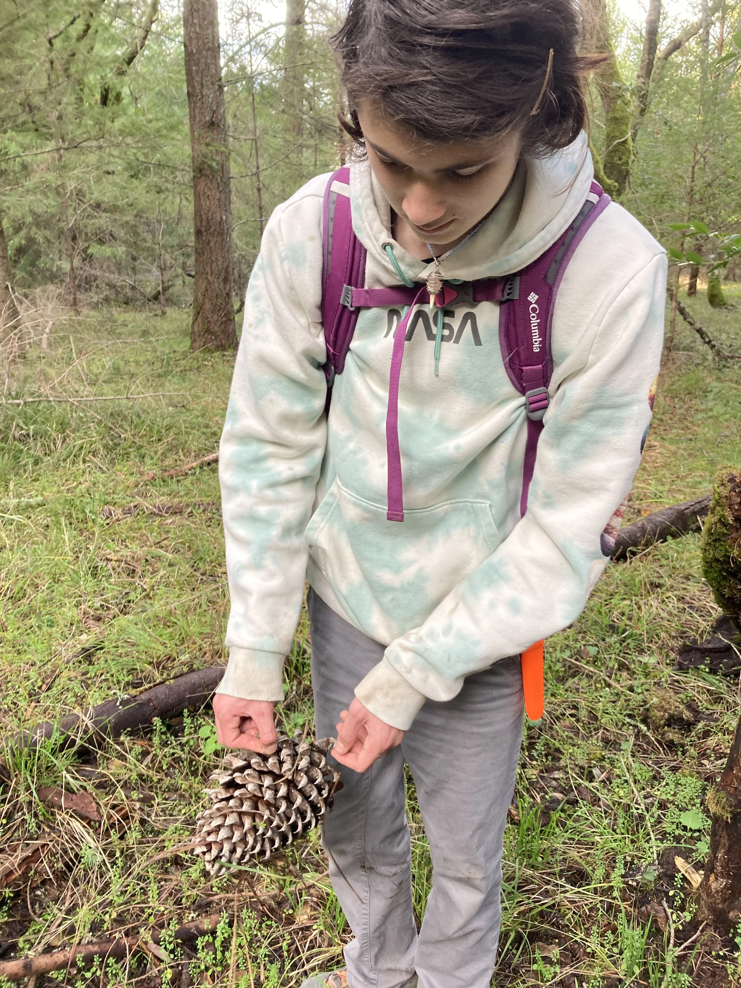 Caitlin McNeely - 949505FE-6F4B-416C-8136-BEA36B90A31E.jpeg