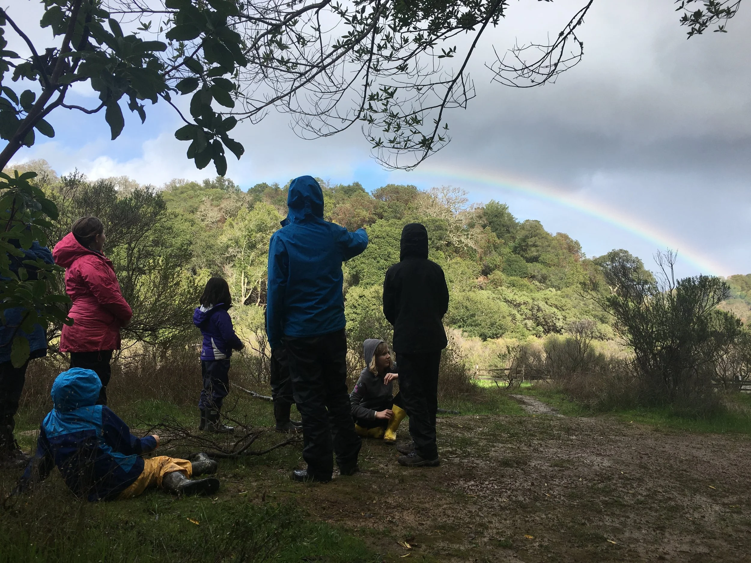 Xander Weaver Scull  - B163074A-E7BE-4EFA-AE39-3E9CE342A61E.jpeg