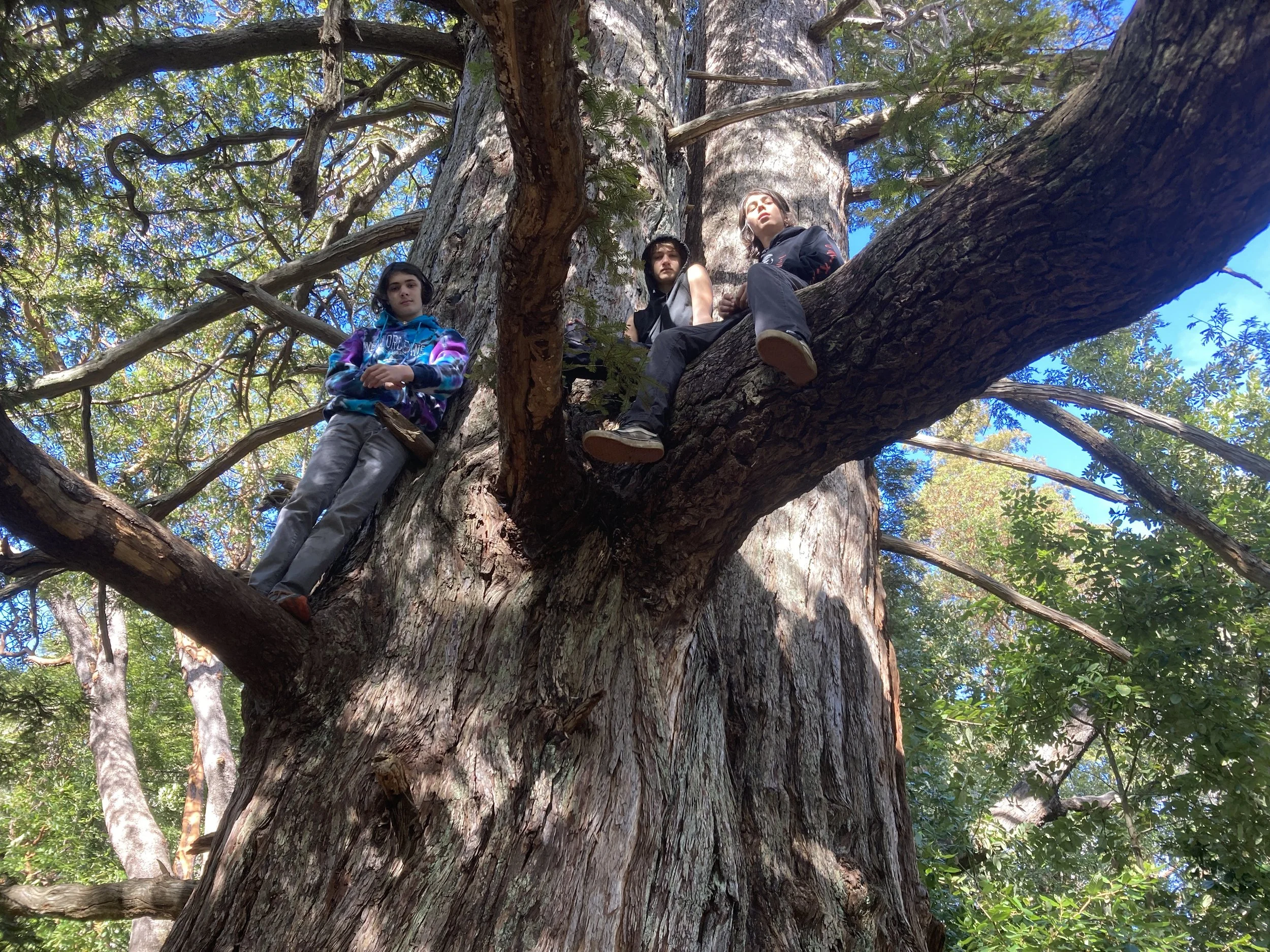 Caitlin McNeely - E5ACDAF7-160D-4FEF-9347-4F591AC876D0.jpeg