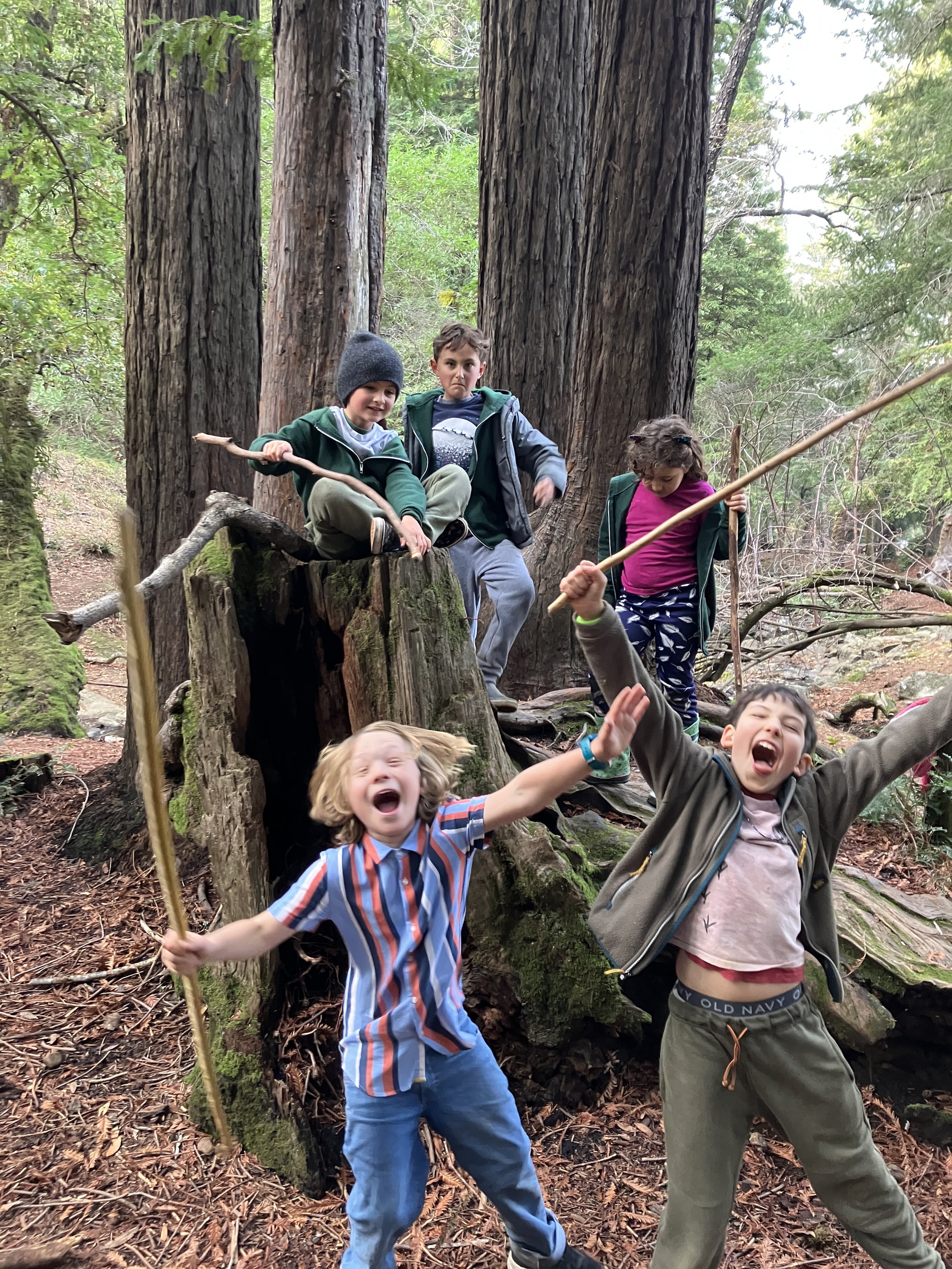 Amanda Fin - IMG_2336.jpeg