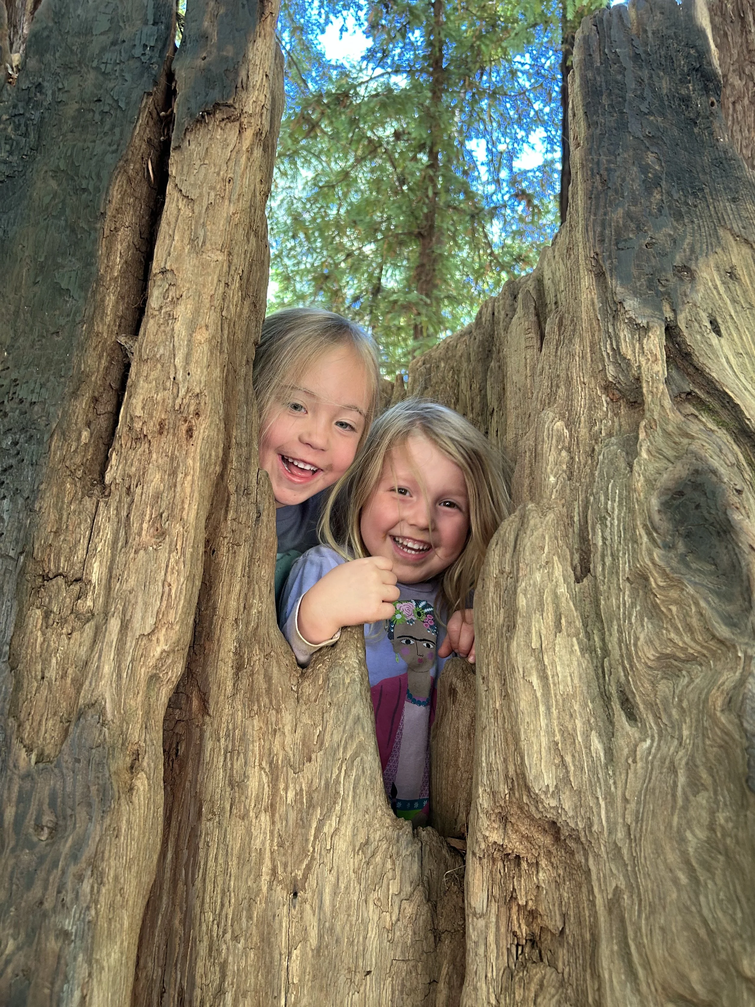 Tiana Cicco - IMG_0964.jpg