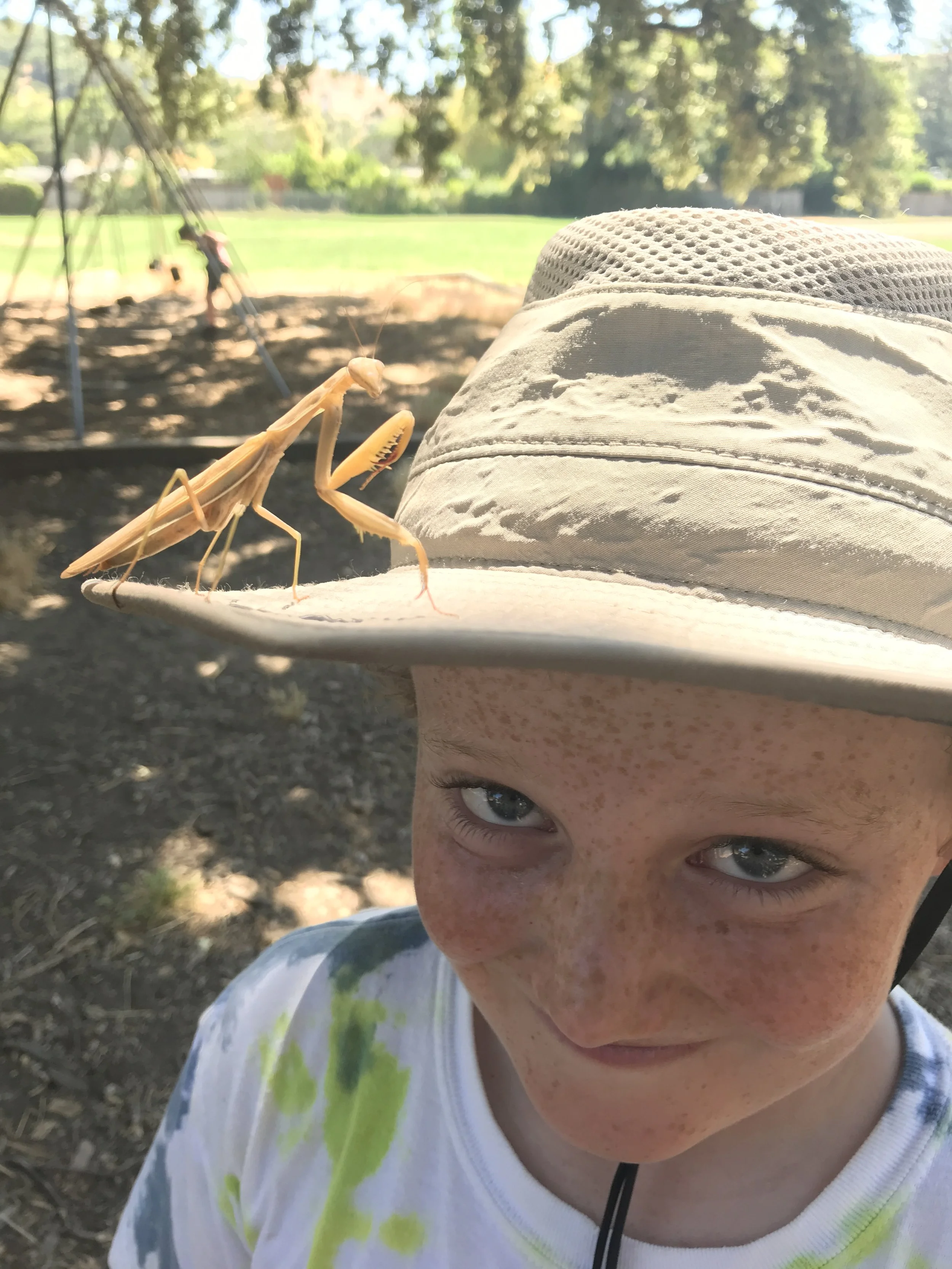 Tiana Ellauri - 69566D22-B6E2-4A75-B441-6CBBE641288D.jpeg