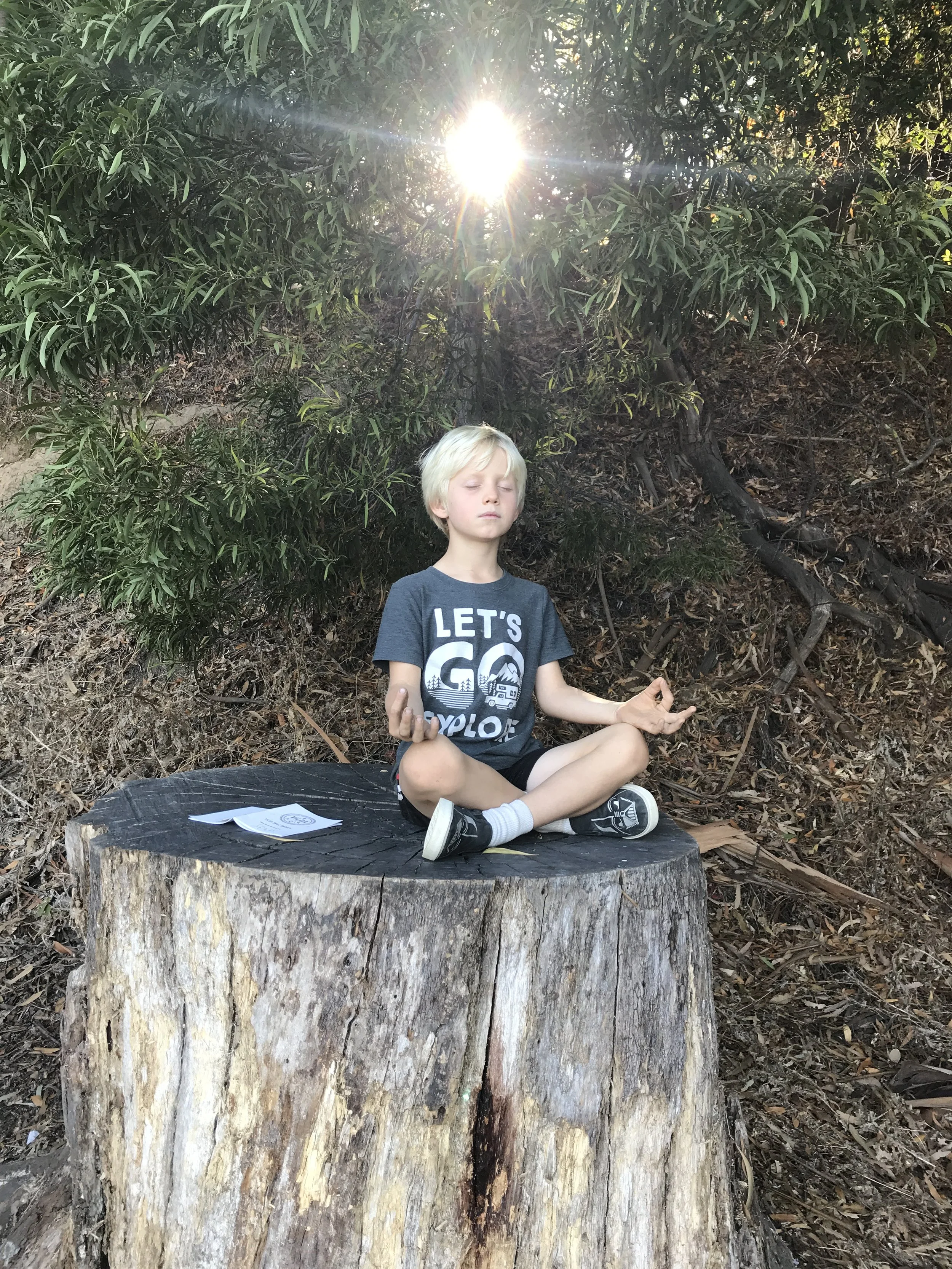 Tiana Ellauri - EAEA889A-4212-4123-8B0B-E5FD3E501B97.jpeg