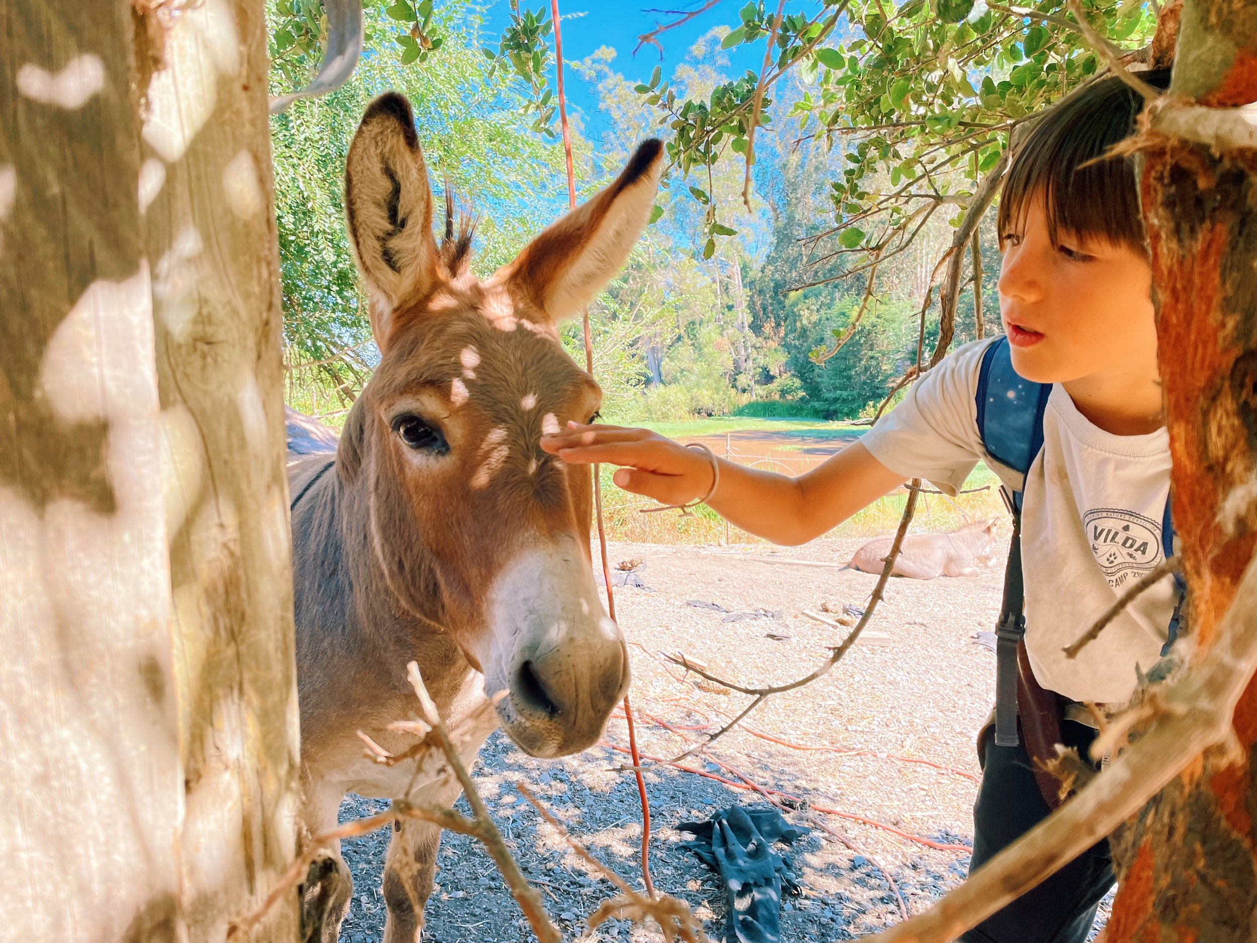 Jared - 3EA1EFA8-B5F5-485C-9B37-C77DDF63D790.jpeg