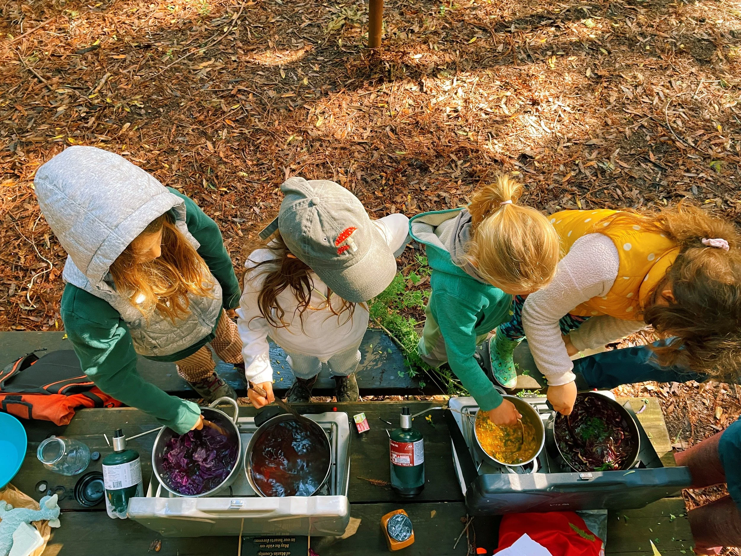 Jared - ED914DBC-0338-4CB5-8608-F16AF5124CE2.jpeg