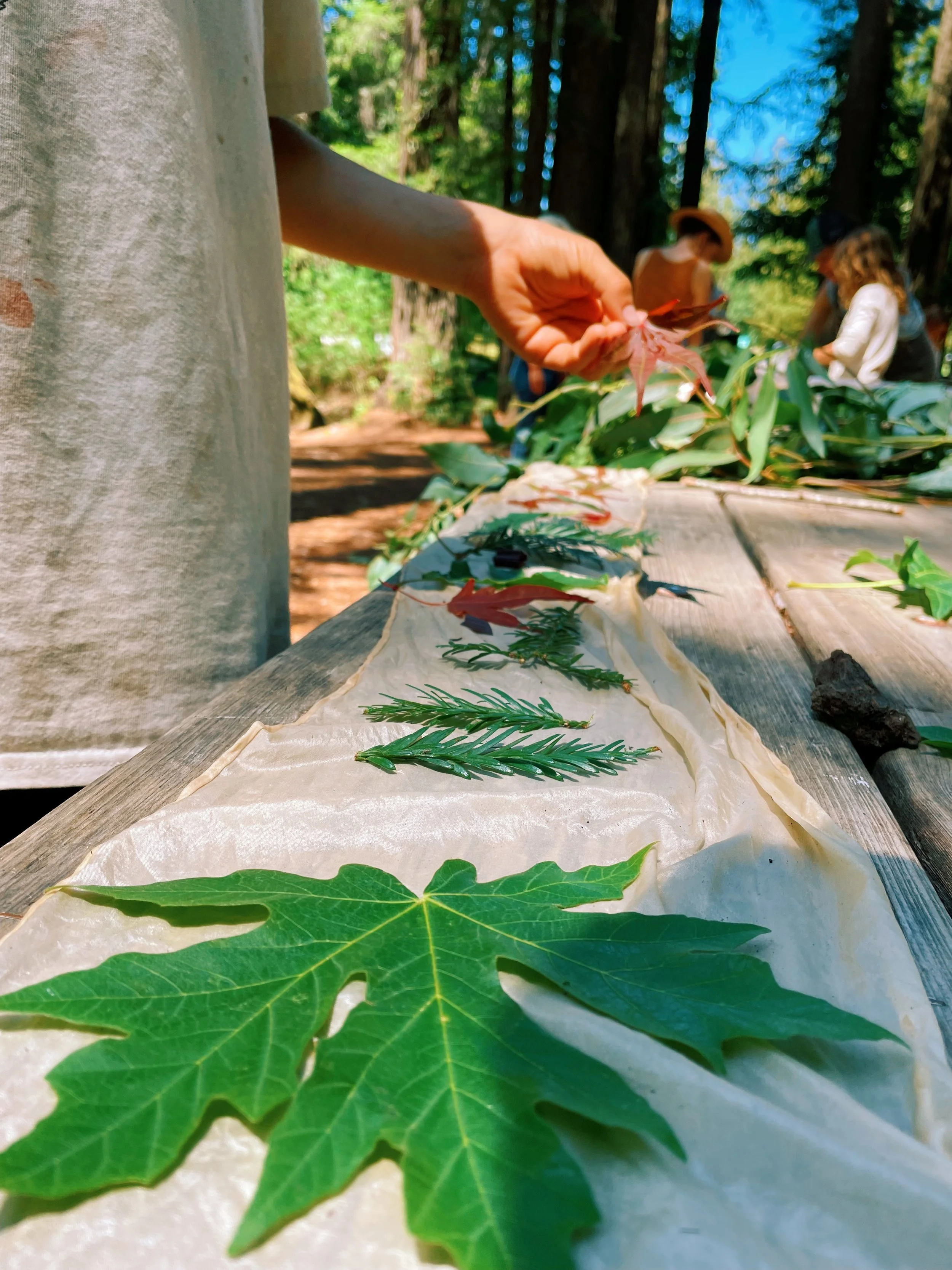 Jared - 9D5C8318-8A06-4FCF-AA8C-8CB369AEDED6.jpeg