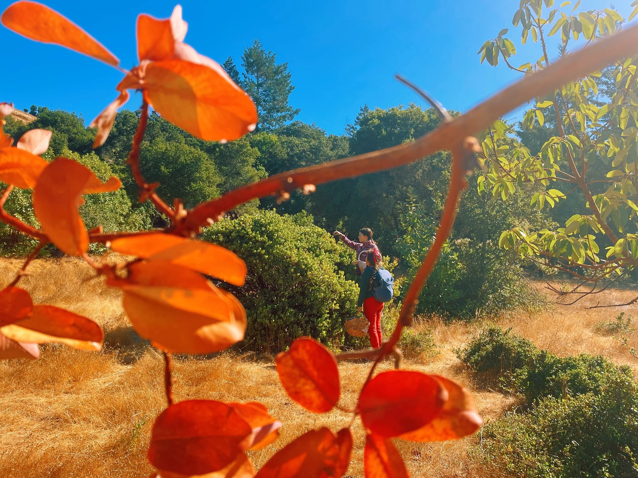 Jared - 191643CC-F601-4FA8-82EE-B90D4D5218F3.jpeg