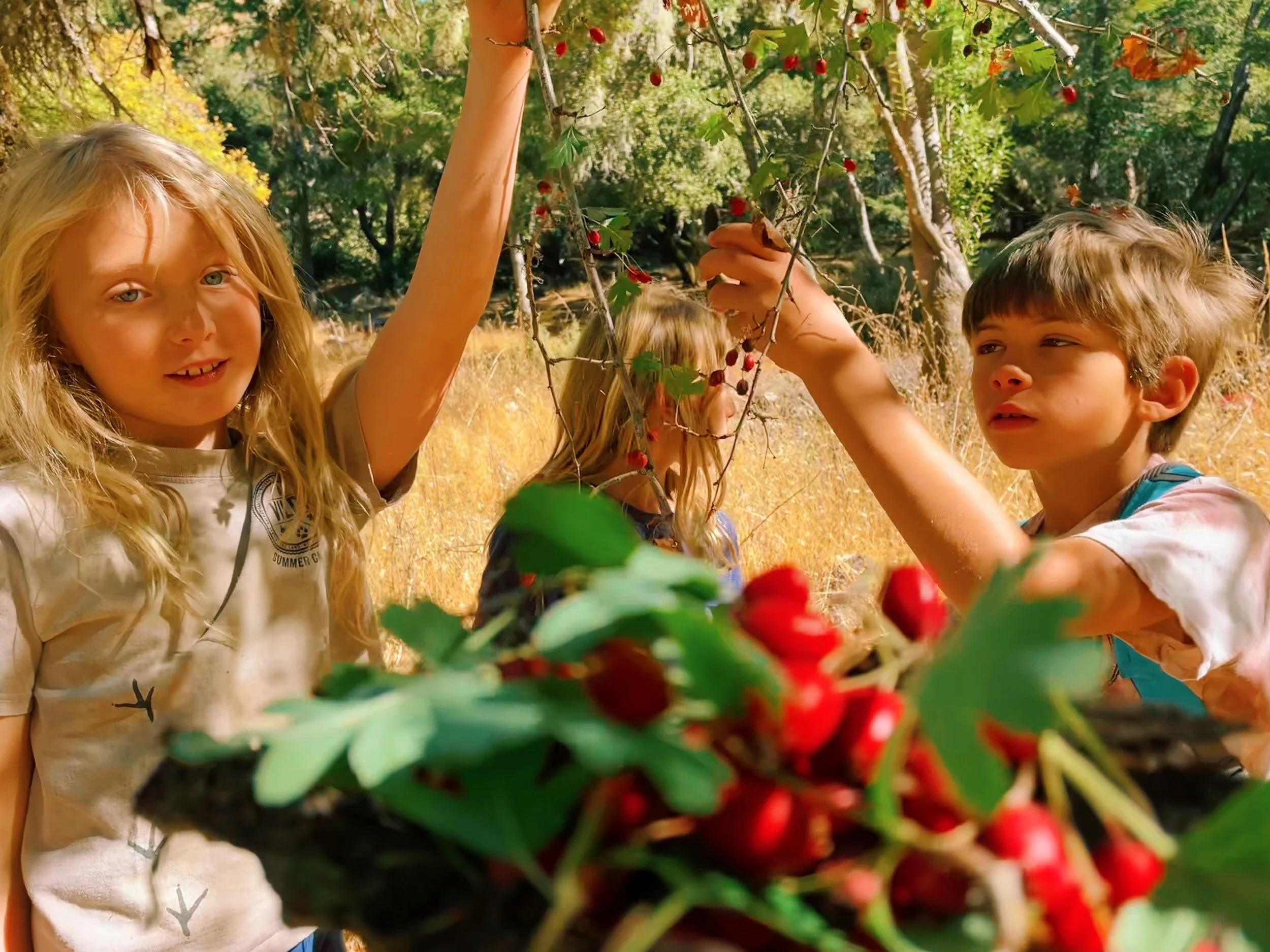 Jared - 9A3F0D26-118E-476B-A083-3182392DE677.jpeg