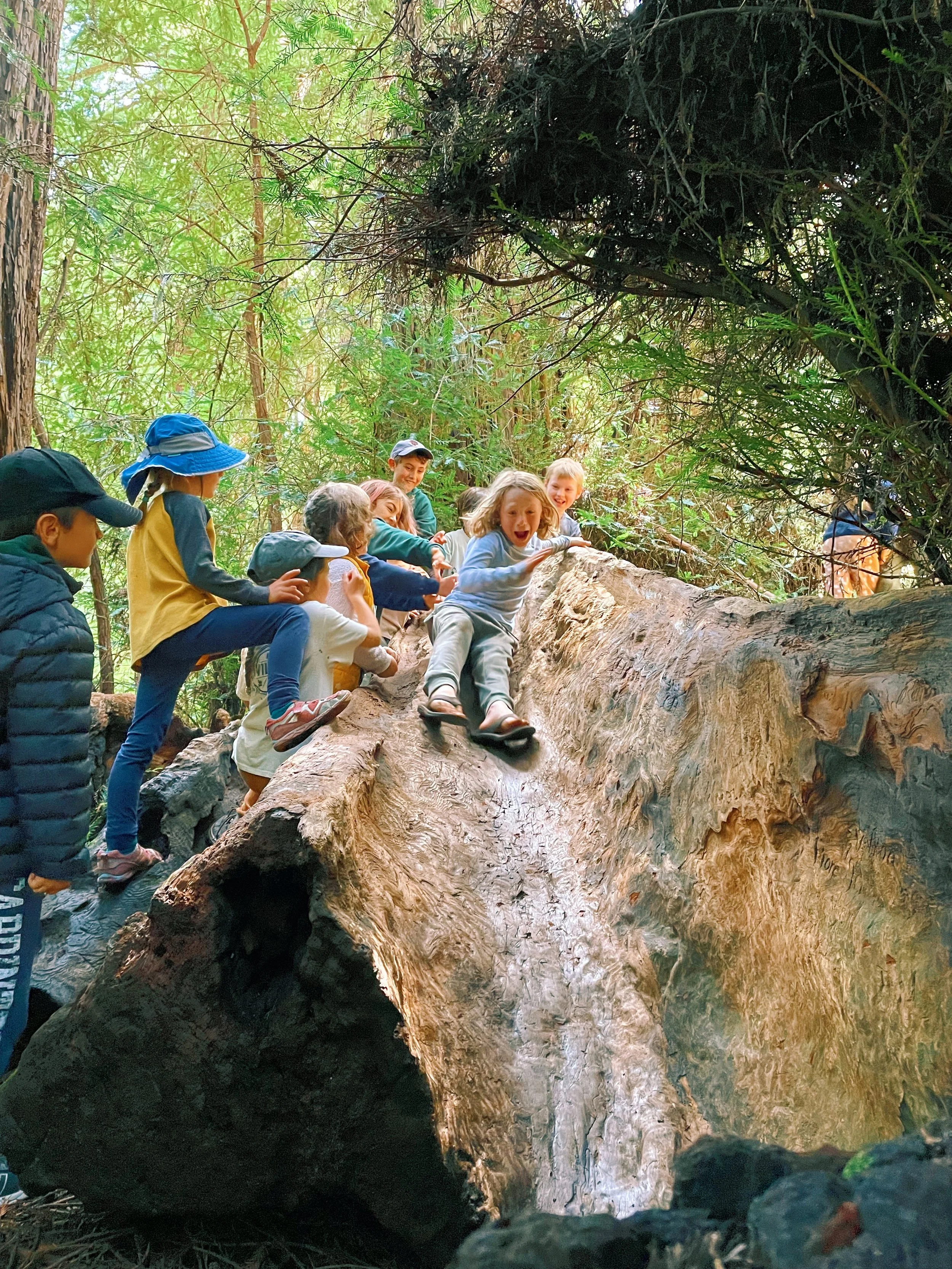 Jared - C92F8360-A939-410C-A4AF-007B0C66AF8E.jpeg