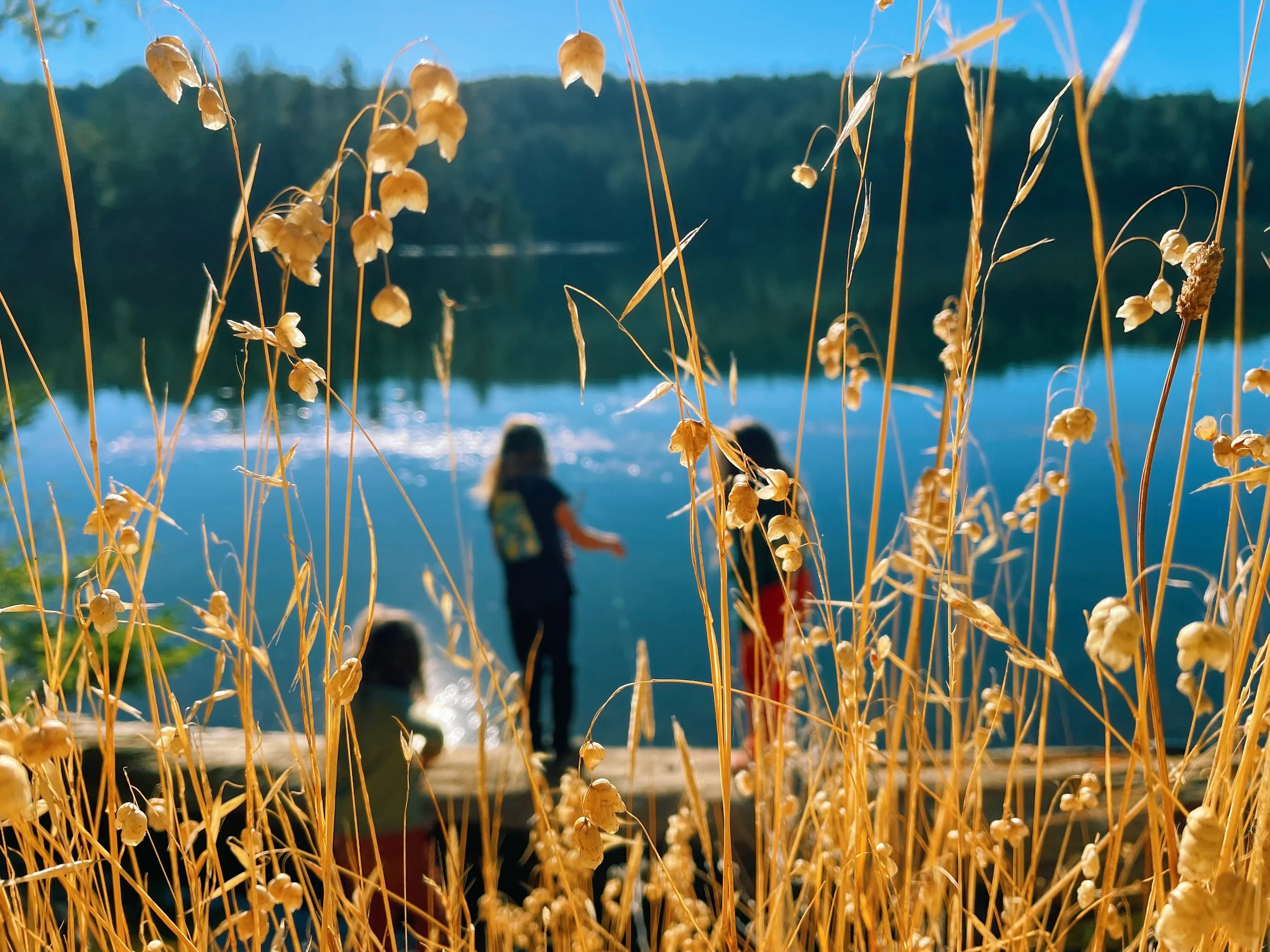 Jared - CBCA7908-1A55-45B1-8D05-96265EBCD8C3.jpeg