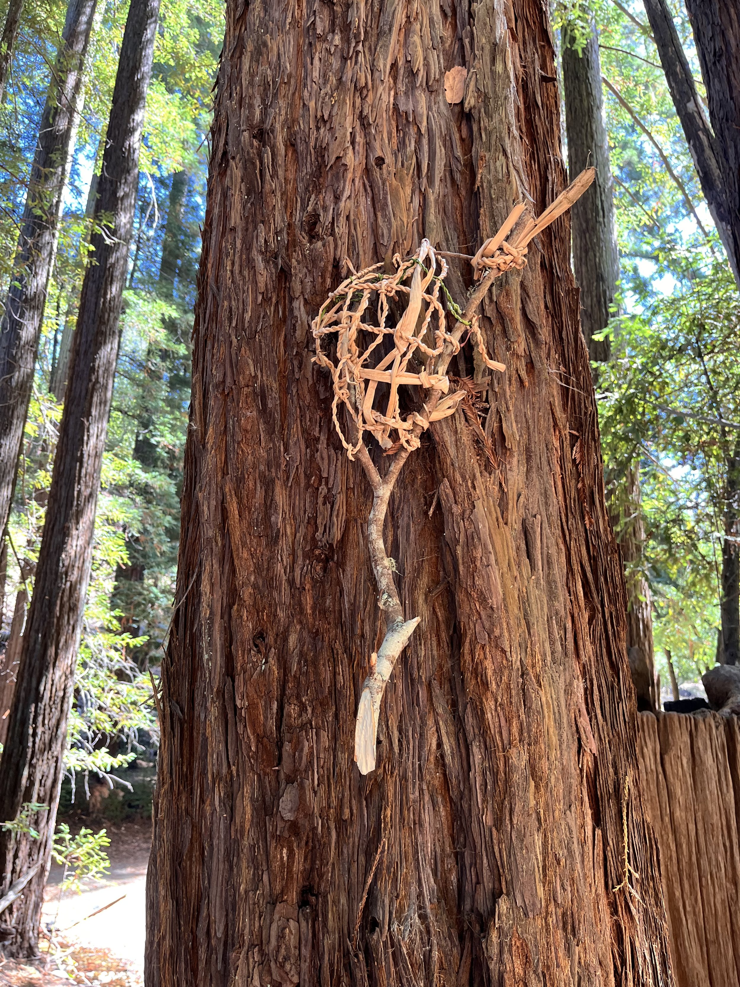 Jason Long - IMG_4664.jpeg