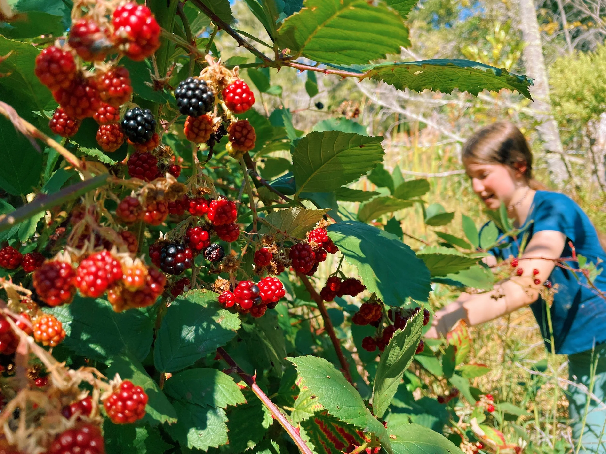 Jared - 75C9B194-8D42-4932-9909-9B4EE0D81364.jpeg