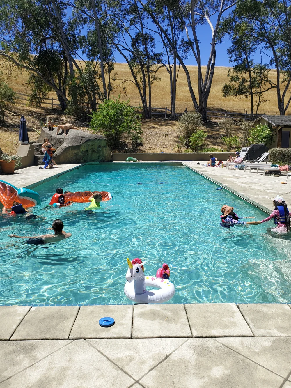 Petaluma Ranch Camp — Vilda