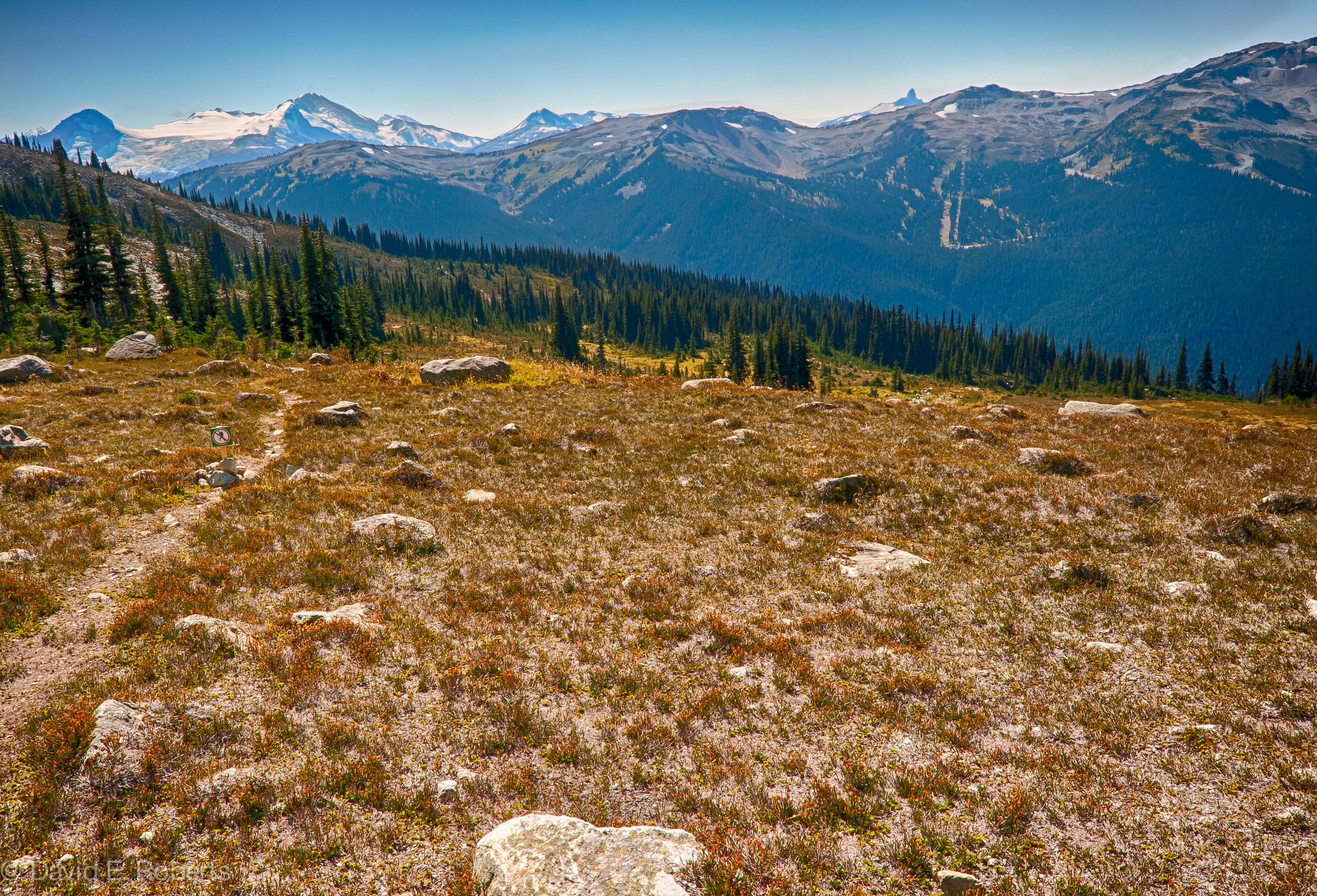 Website photos -2-3.jpg
