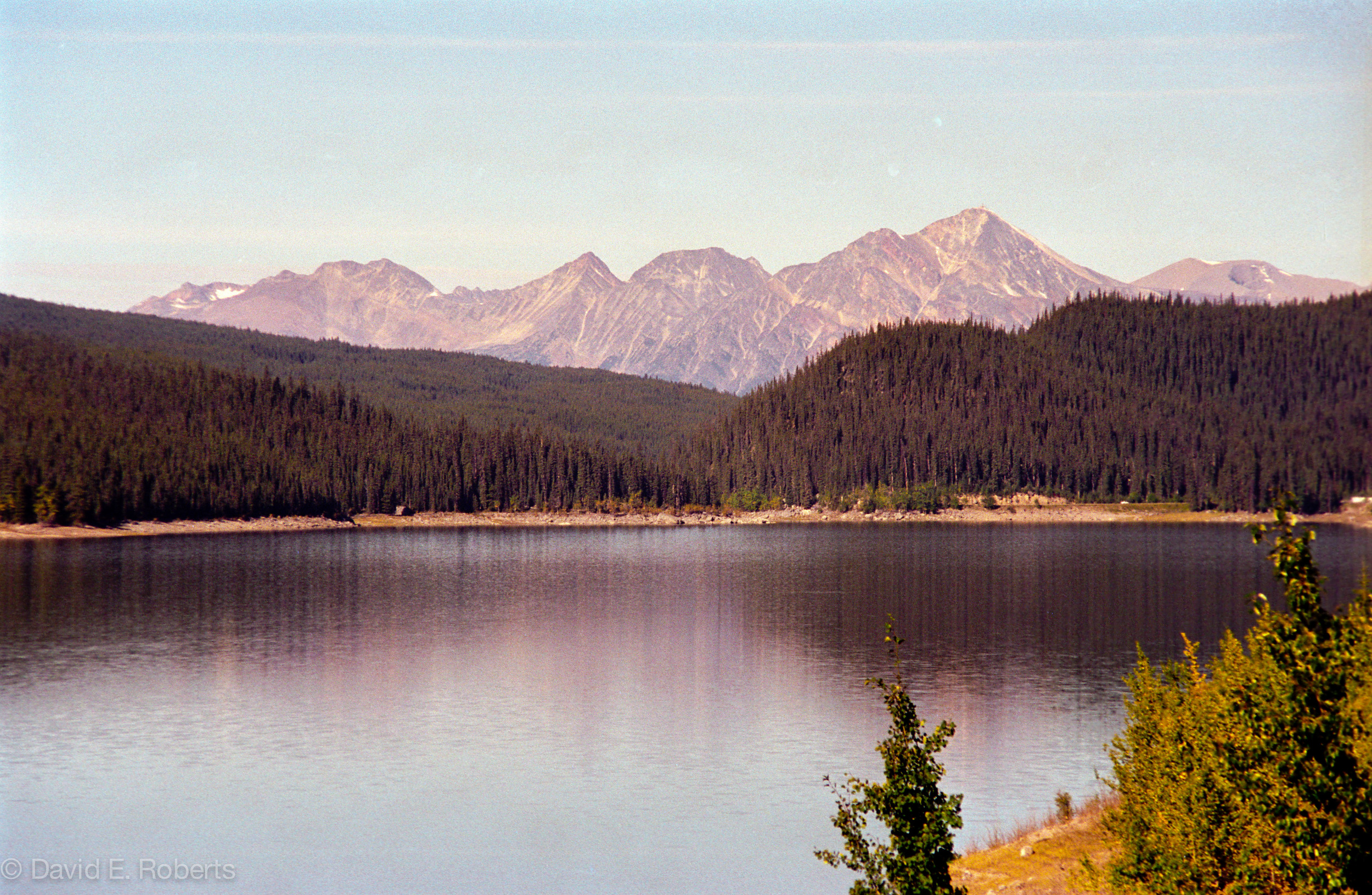 Website photos -2-6.jpg