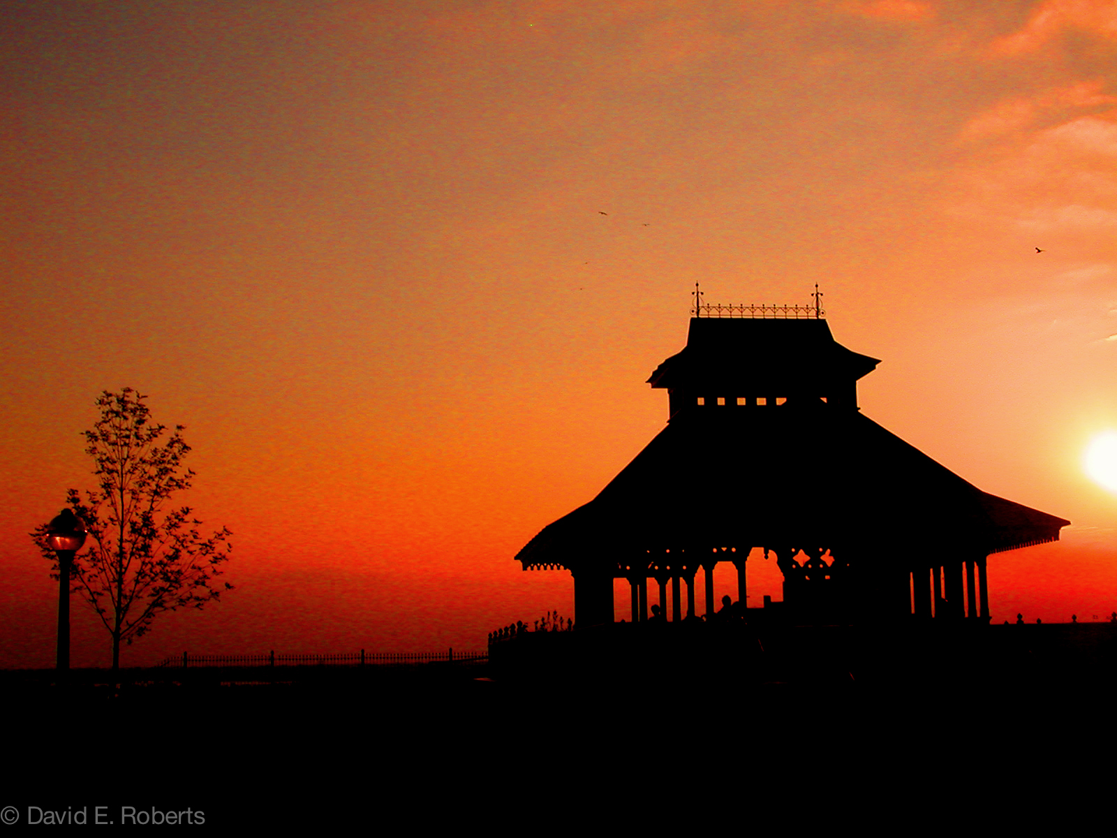 Website photos -2.jpg
