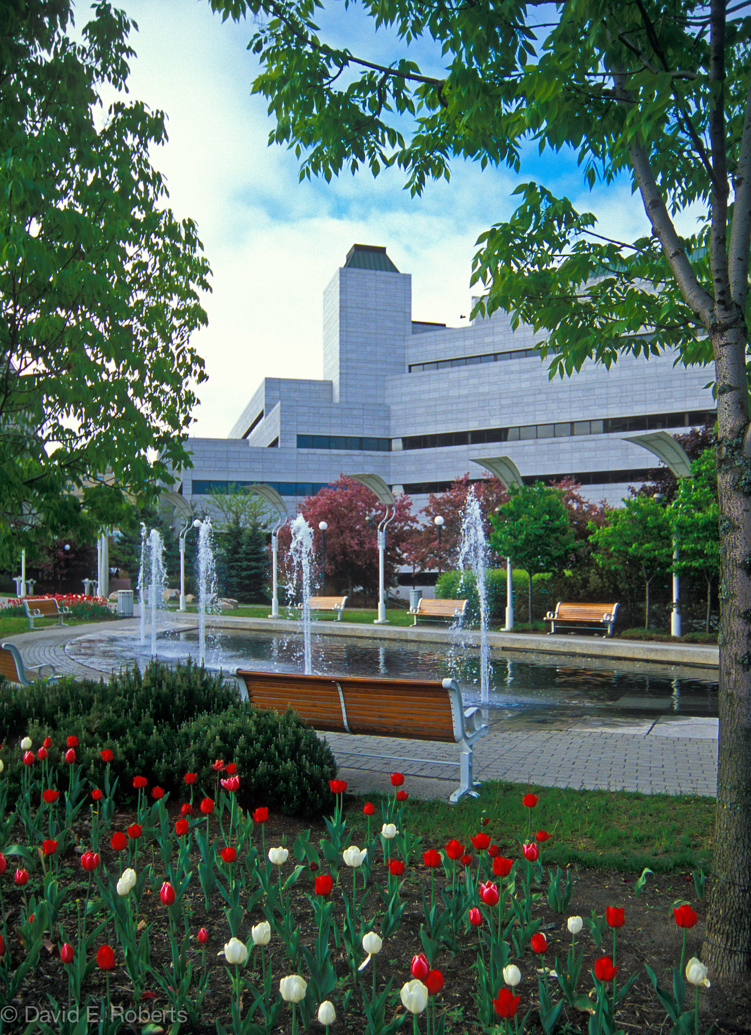 Website photos --2.jpg