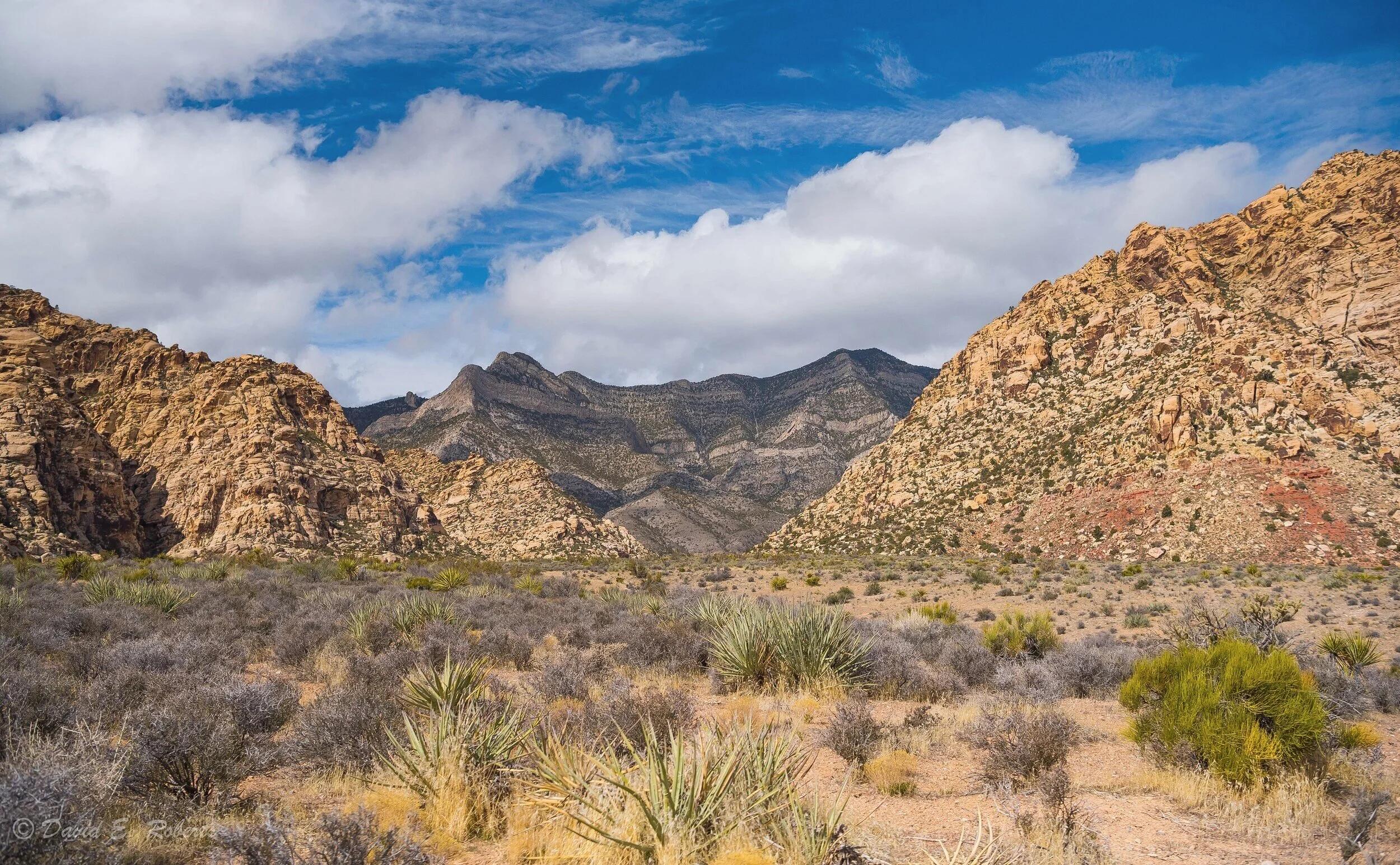 Red Rock Canyon