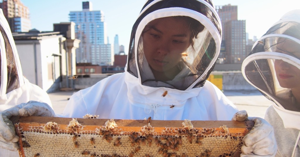 NYCBA_Urban_Beekeeping_Apprenticeship.jpg