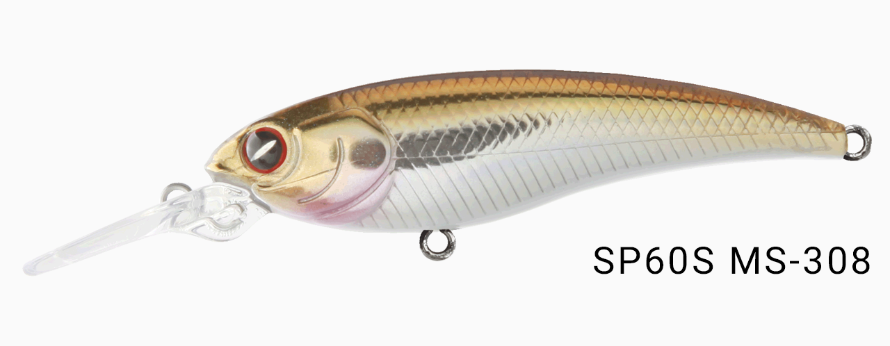ms308.png