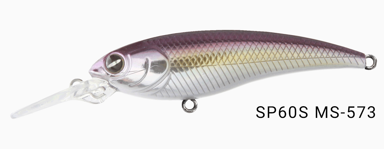 ms573.png