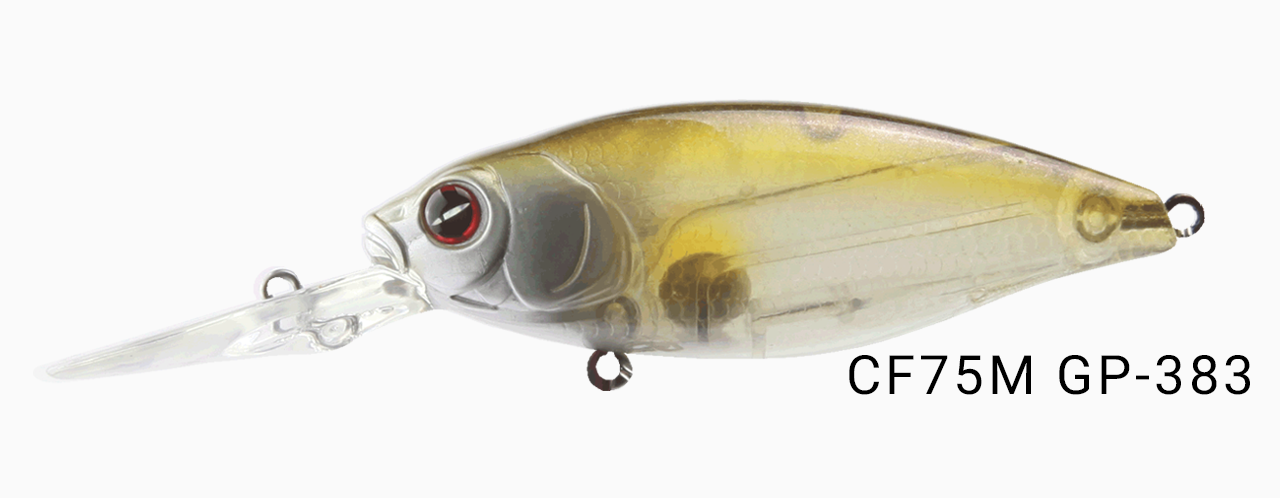 gp383.png
