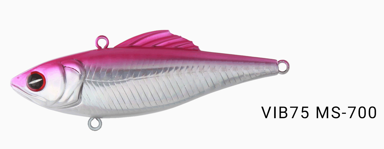 ms700.png