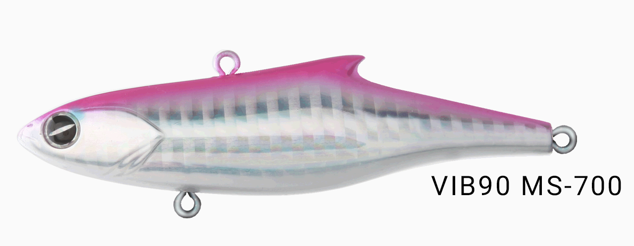 ms700.png
