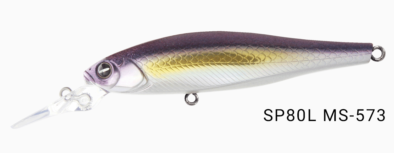 ms573.png