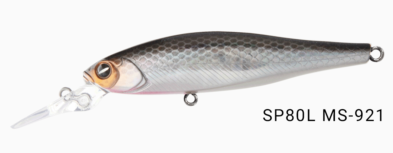 ms921.png