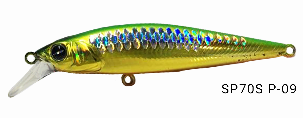 p09.png