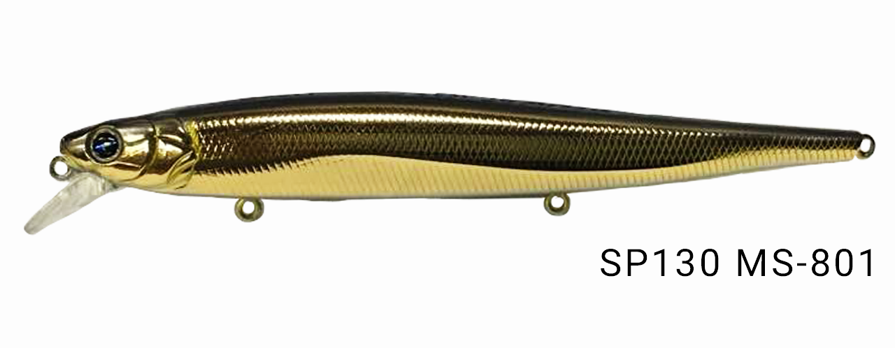 ms801_new.png