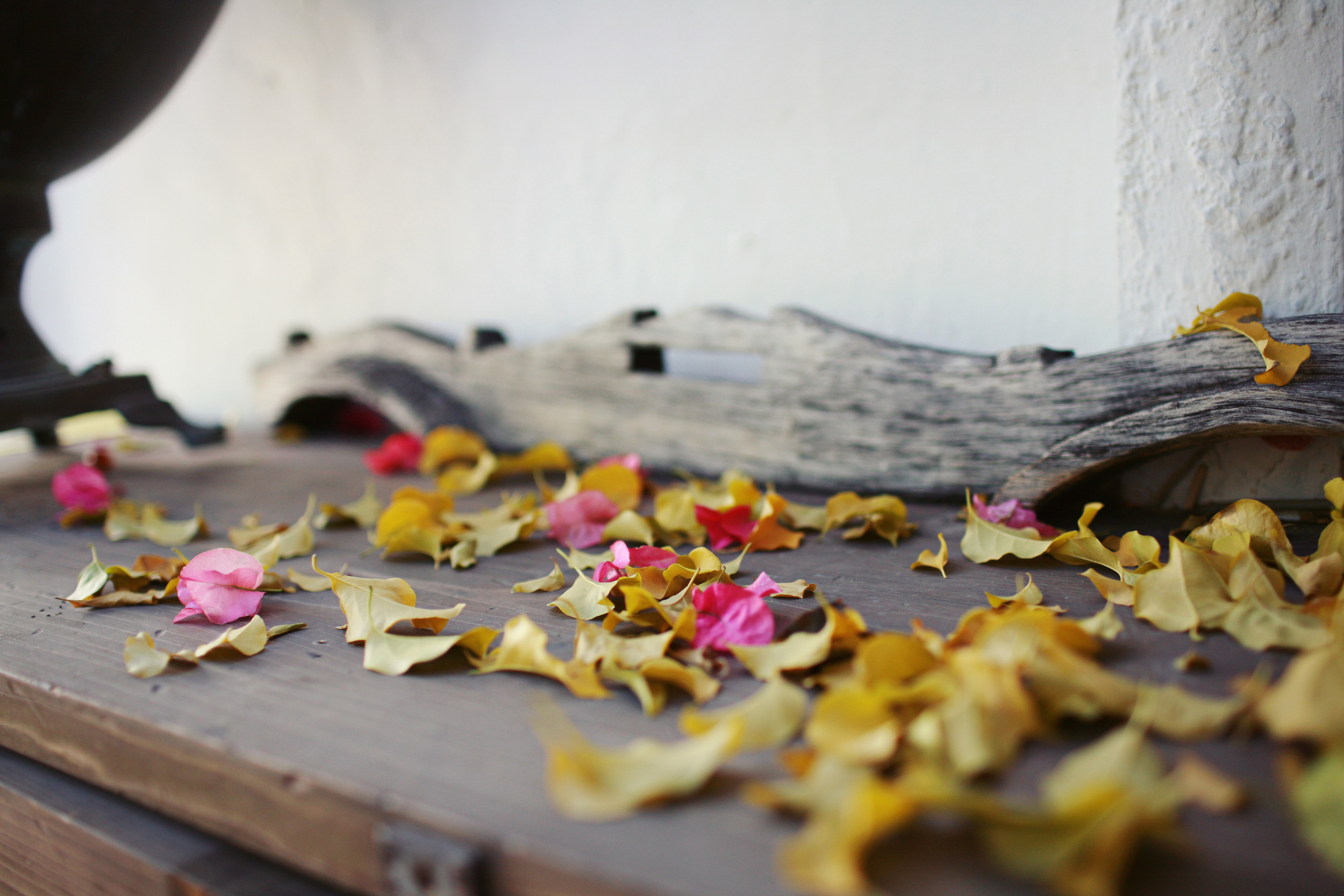 EMDR & Holistic Psychotherapy in Los Angeles, CA