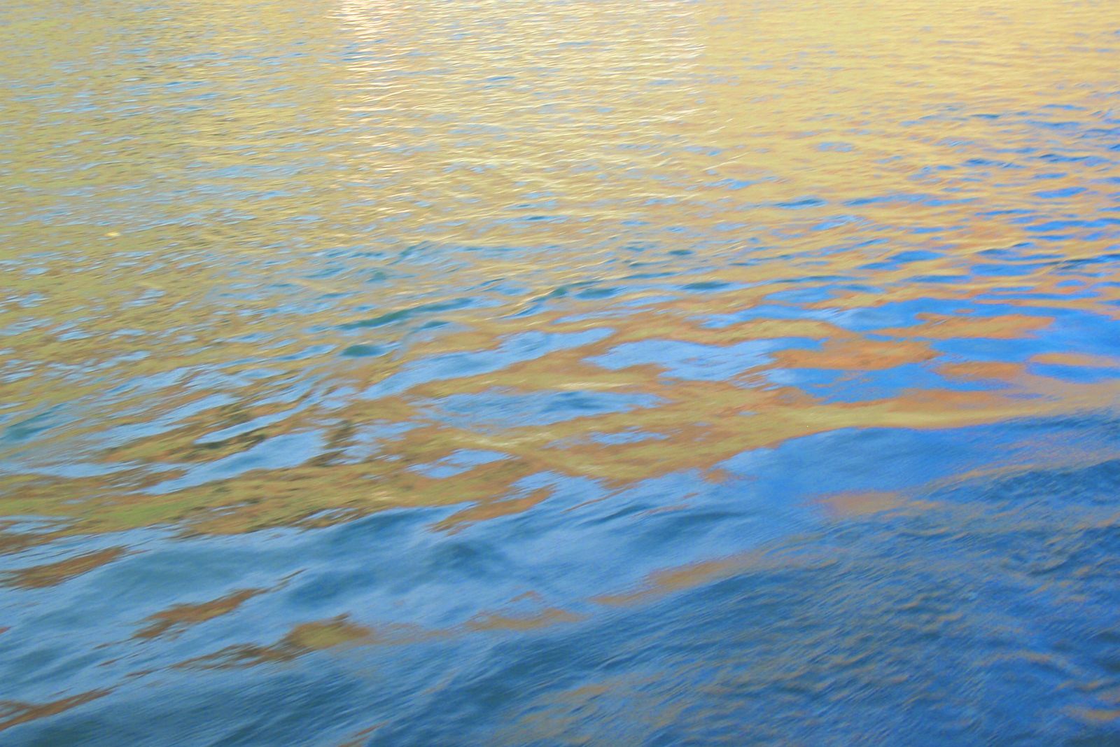 Eliot Porter, "Ord River Marathon"