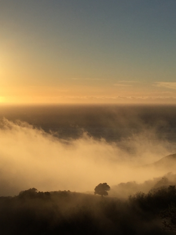 Big Sur, CA