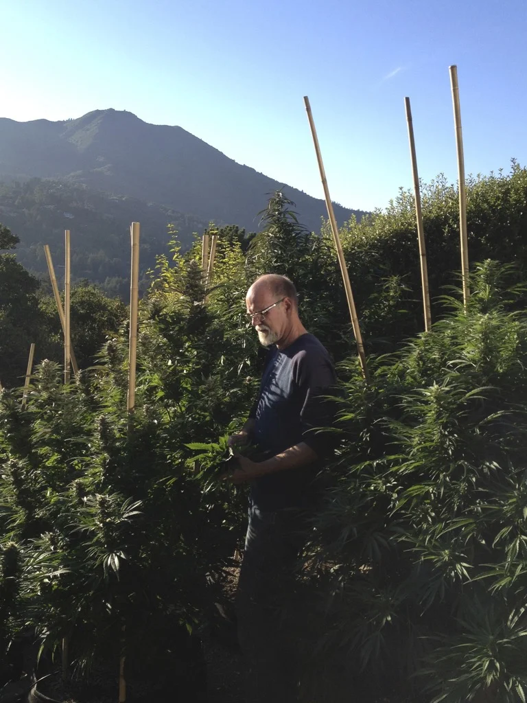 Frank, Mill Valley, 2013