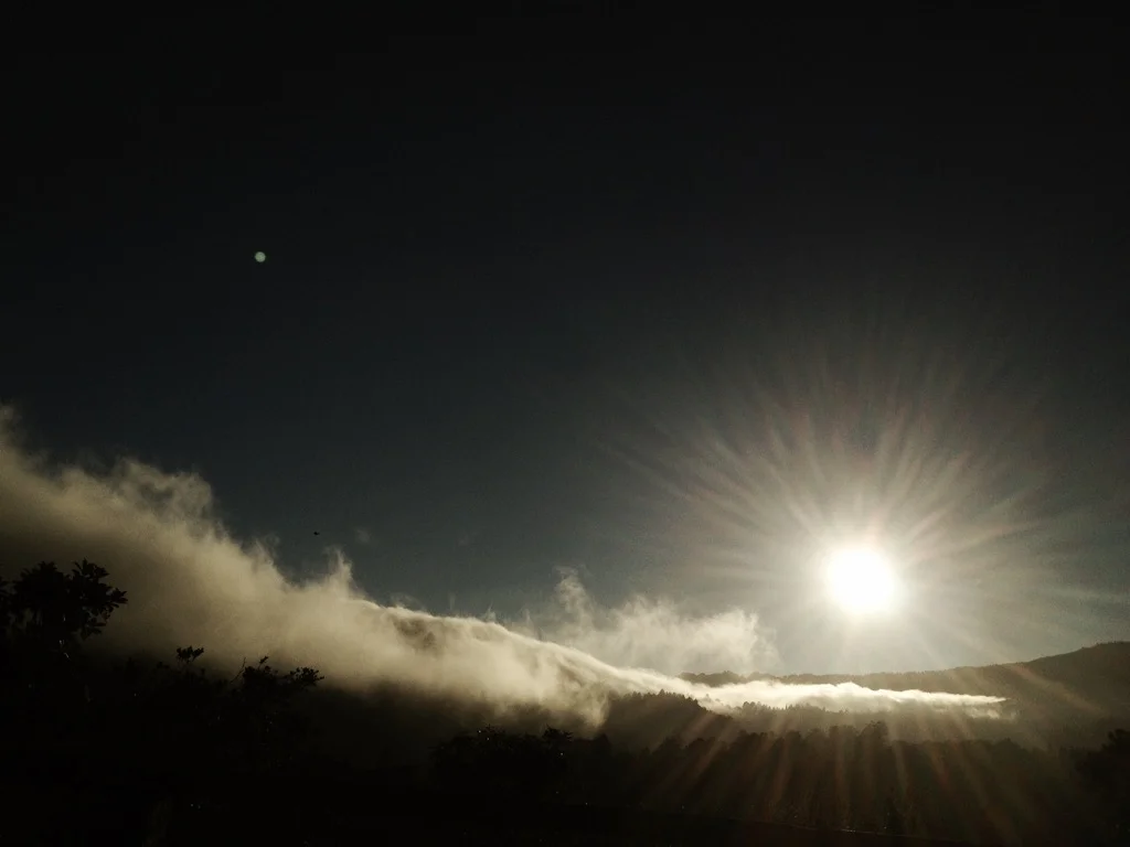 Mount Tamalpais, CA