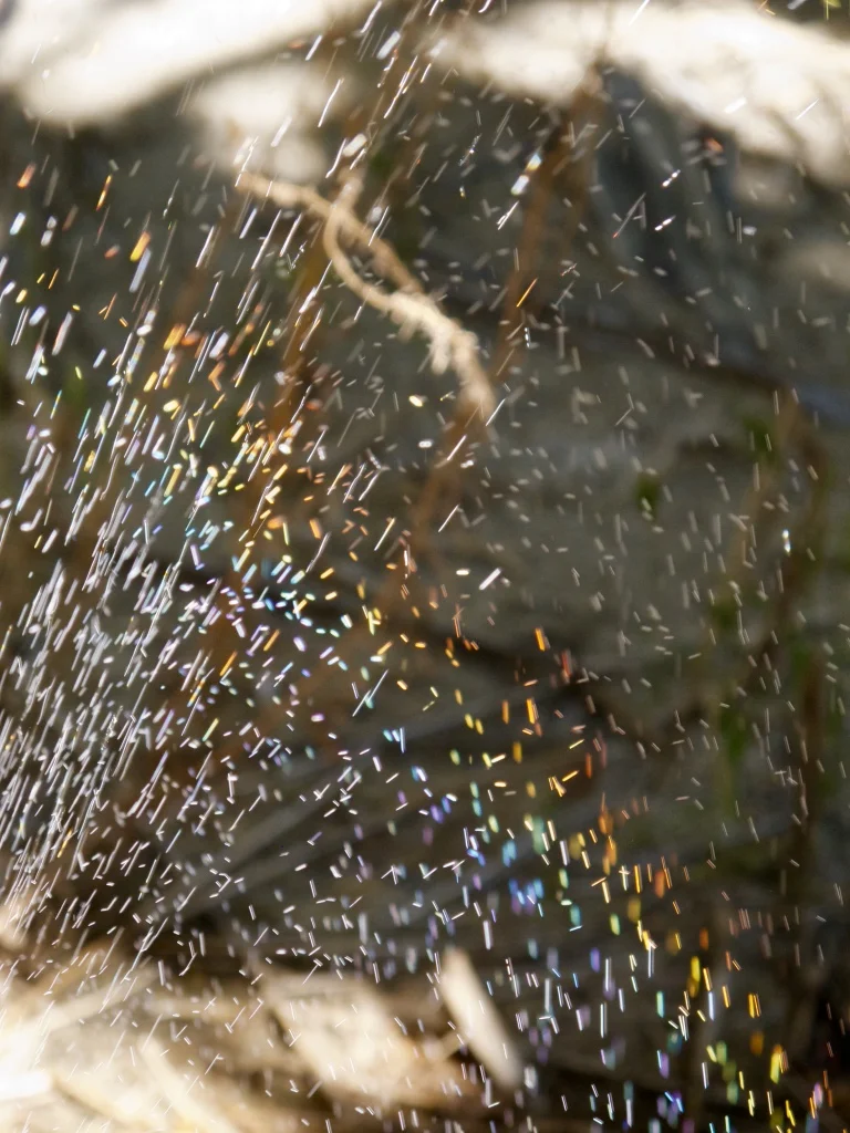 Afternoon light hitting water as it spews from sprinkler