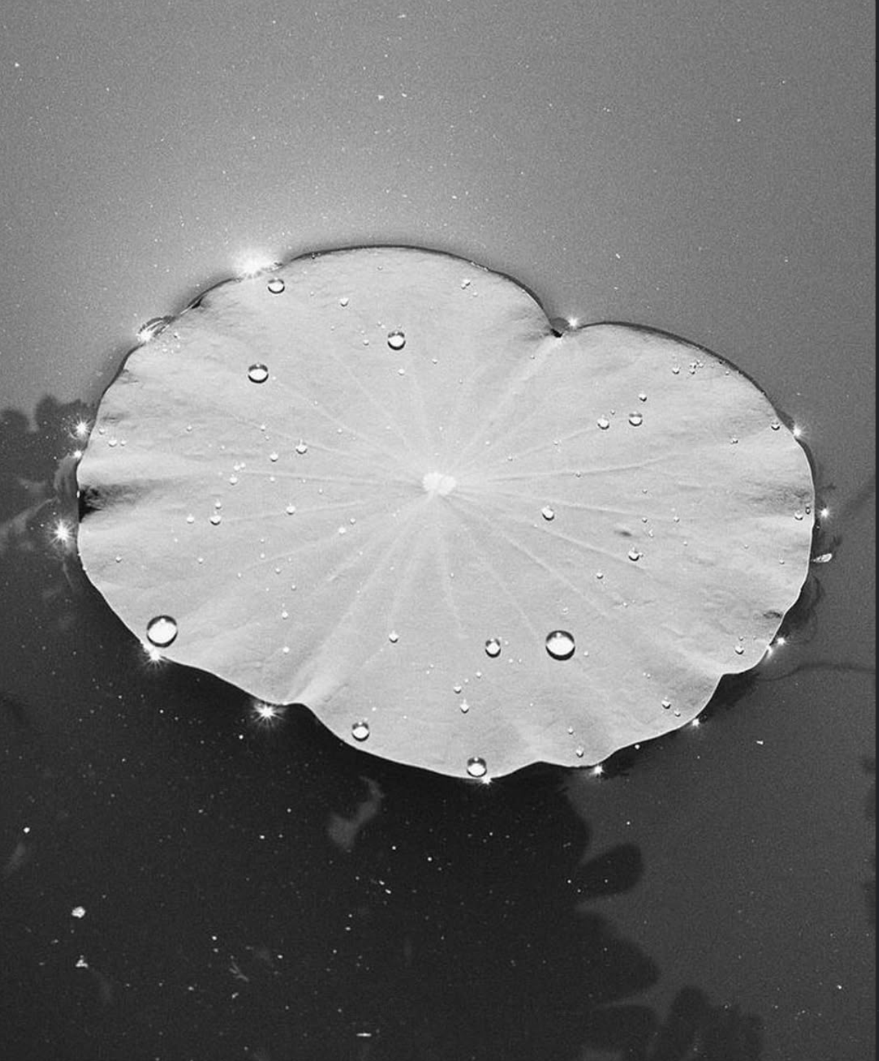 Screenshot 2026-03-23 at 8.28.38 PM.png