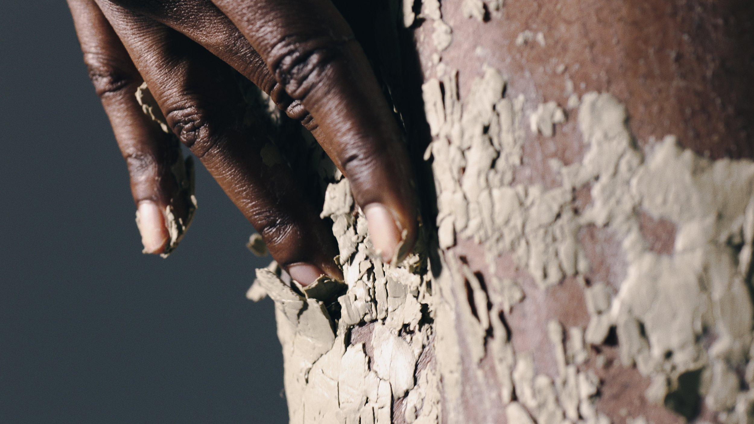 WELLNESS FINAL FULL REZ CLIENT VERSION_1.mov.00_00_14_14.Still005.jpg