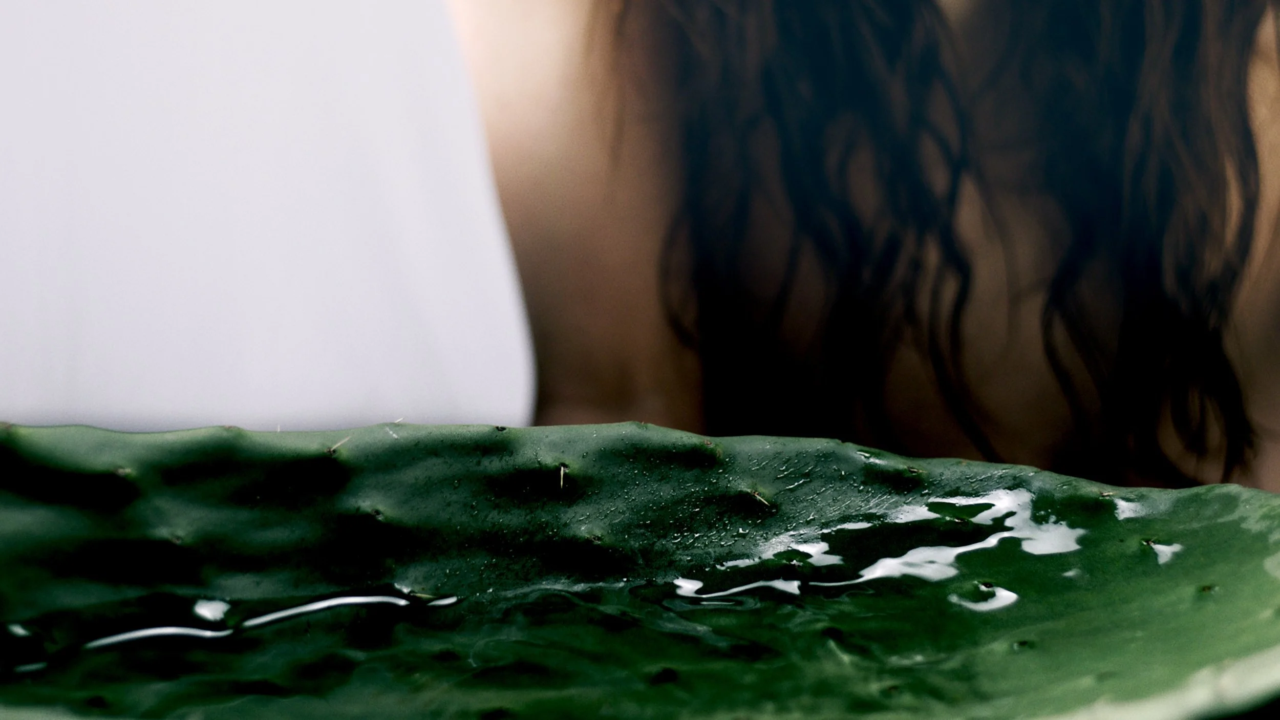 WELLNESS FINAL FULL REZ CLIENT VERSION_1.mov.00_00_31_18.Still021.jpg